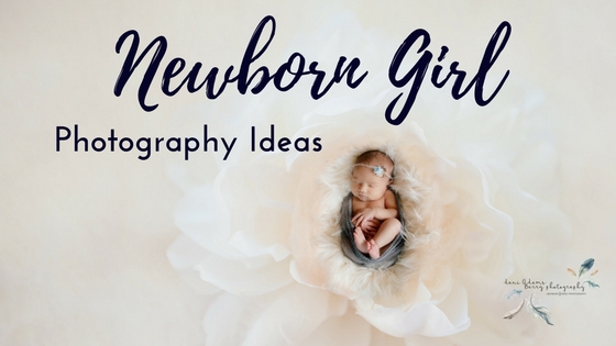 Newborn Girl Photography Ideas Dallas TX Newborn Photography Dani Adams Barry