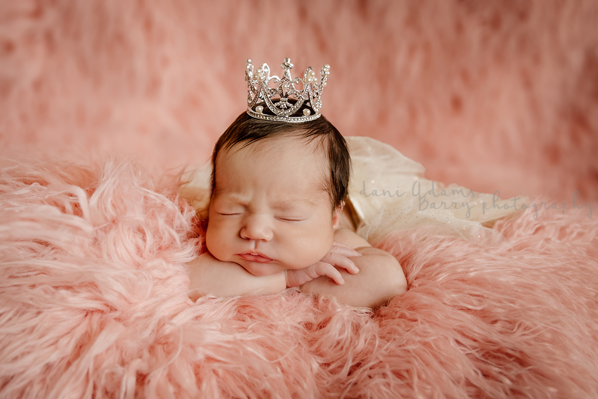 dani adams barry photography dallas newborn photography ideas