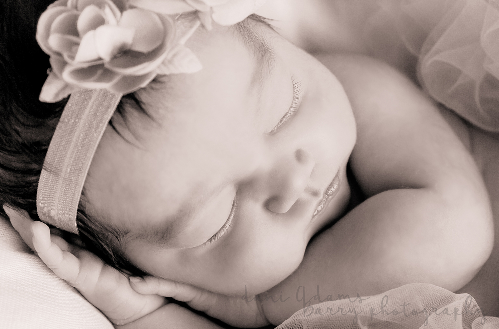 newborn girl photography ideas dfw newborn photography