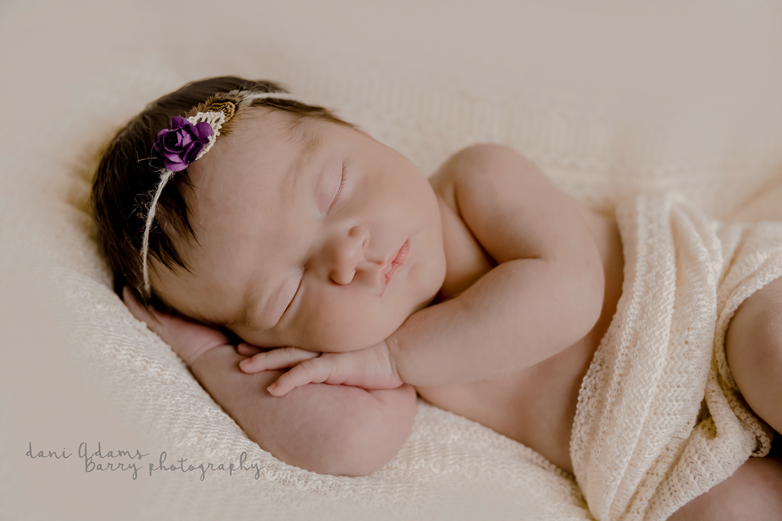 newborn photos dallas tx photographer