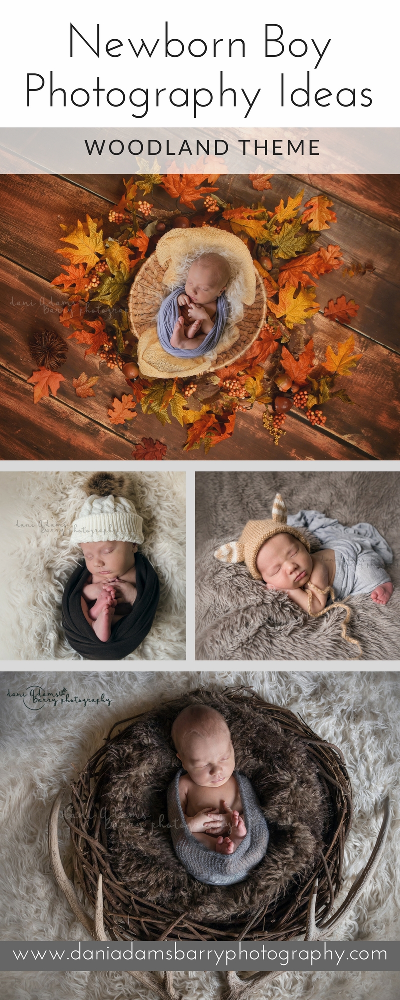 Newborn Boy Photography Ideas. Woodland themed Newborn Photography Dallas TX. Baby Portrait Inspiration by Dallas Photographer Dani Adams Barry