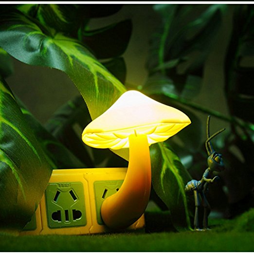 mushroom light