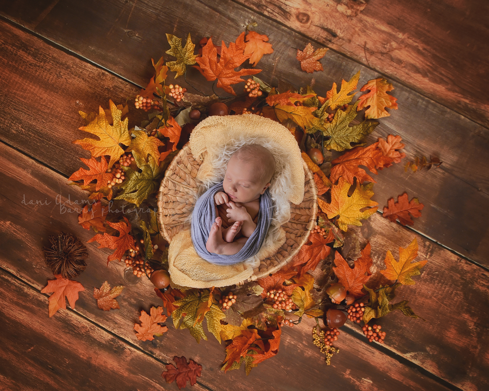 newborn boy photography dallas tx