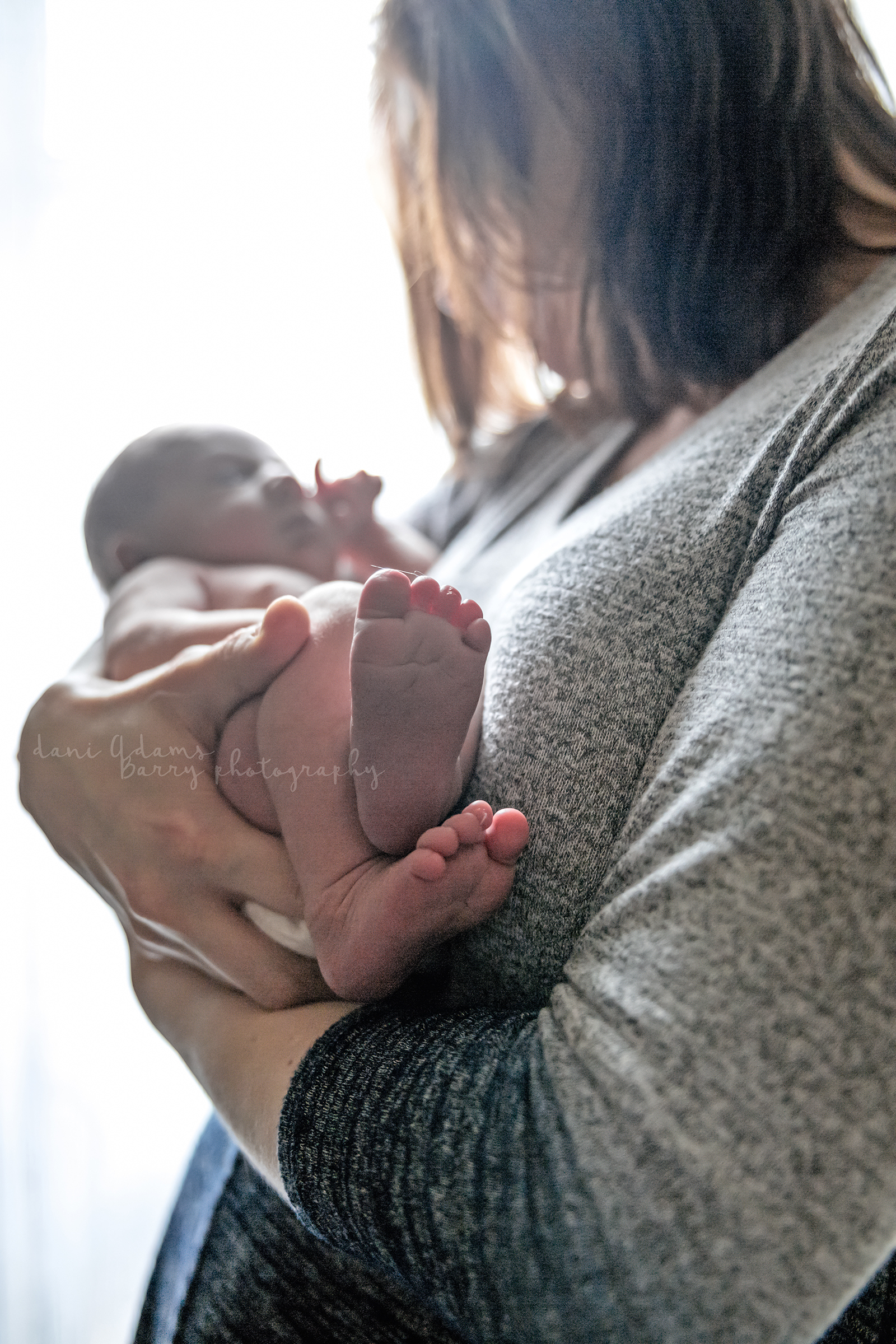 newborn lifestlye session dallas tx