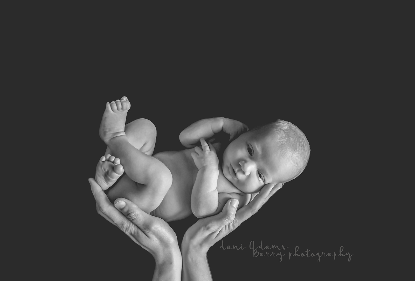 newborn photography dallas