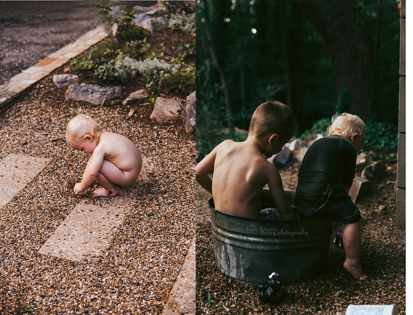 lifestyle photography woodland session