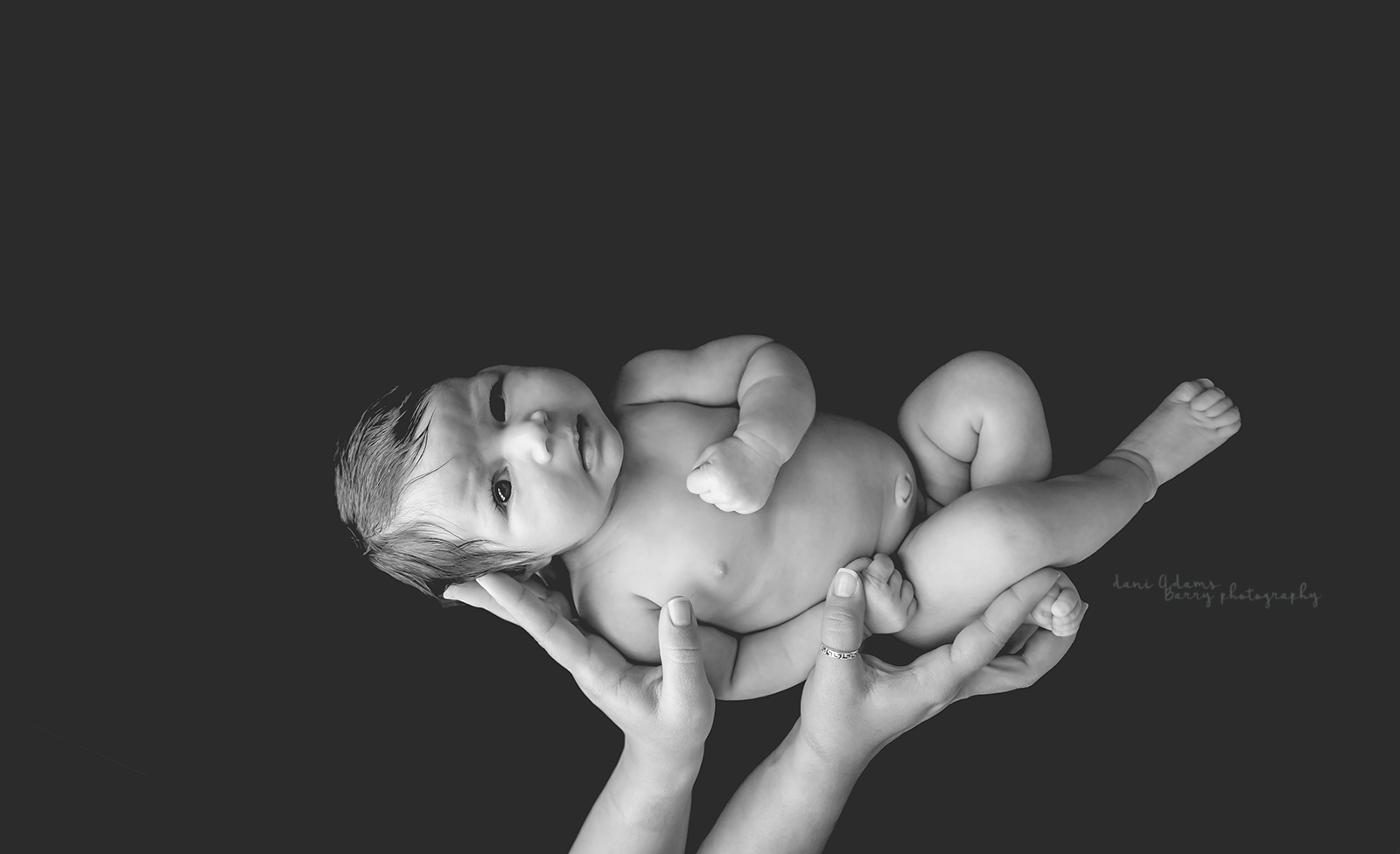 newborn baby girl photography dallas