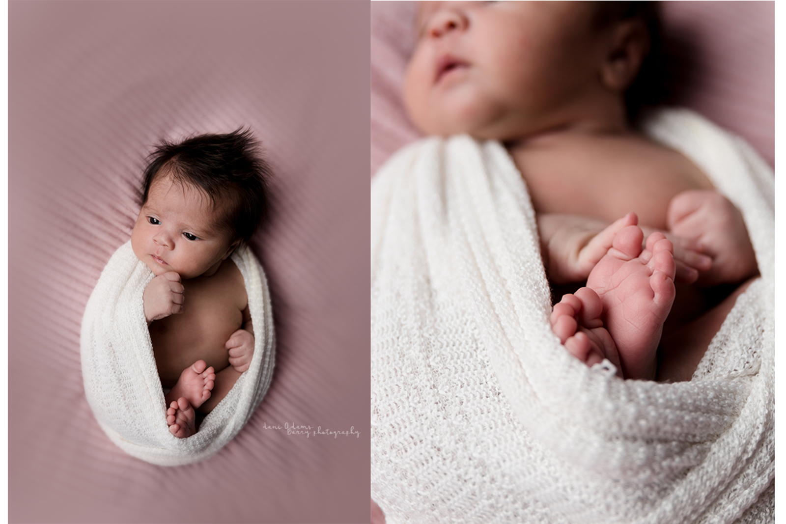 baby photography dallas tx dani adams barry