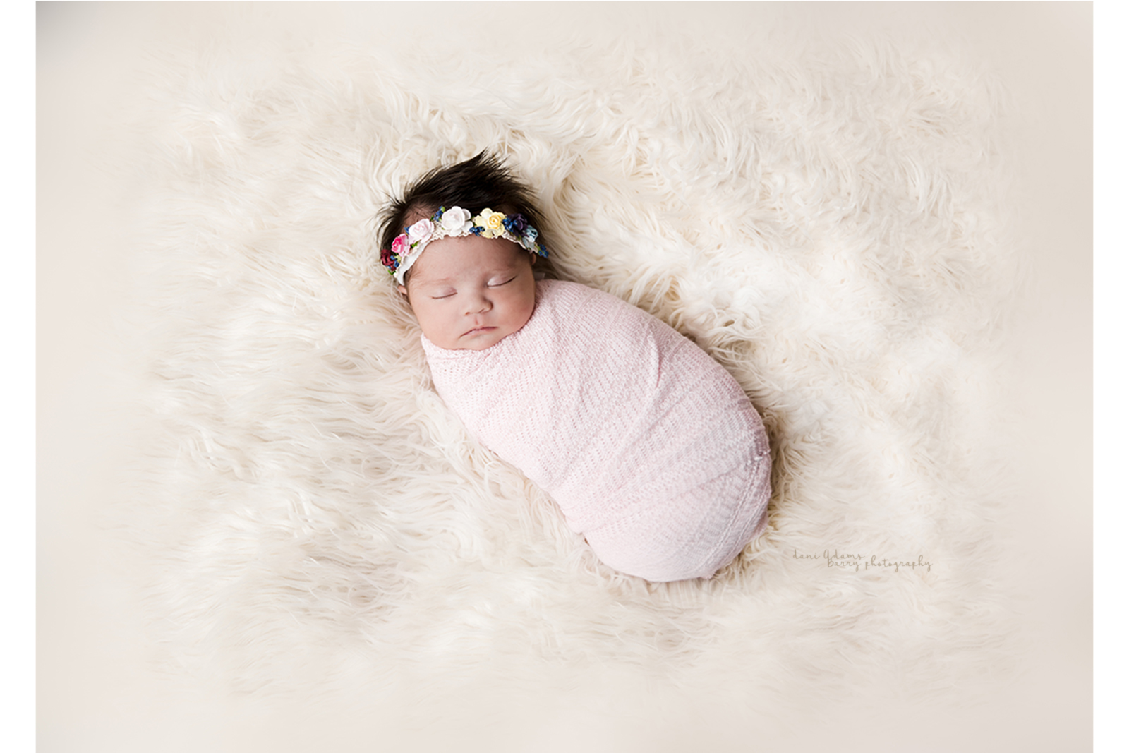 best baby photography dallas tx dani adams barry
