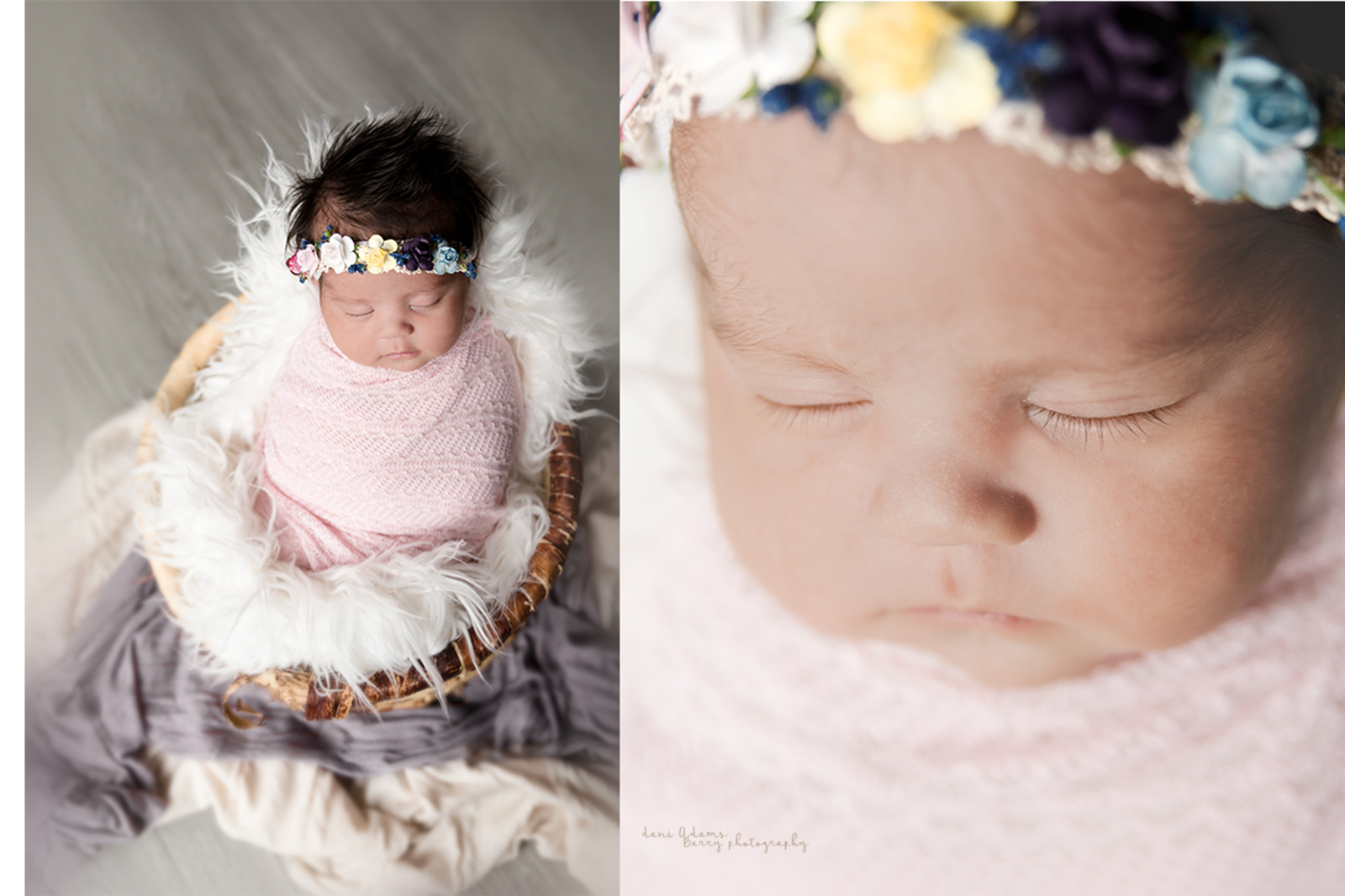 dani adams barry photography baby photography dallas tx