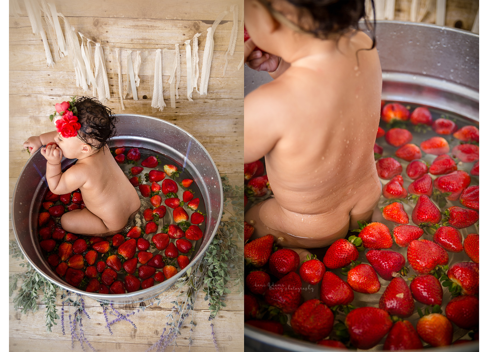 berry bath milestone photography dallas tx dani adams barry