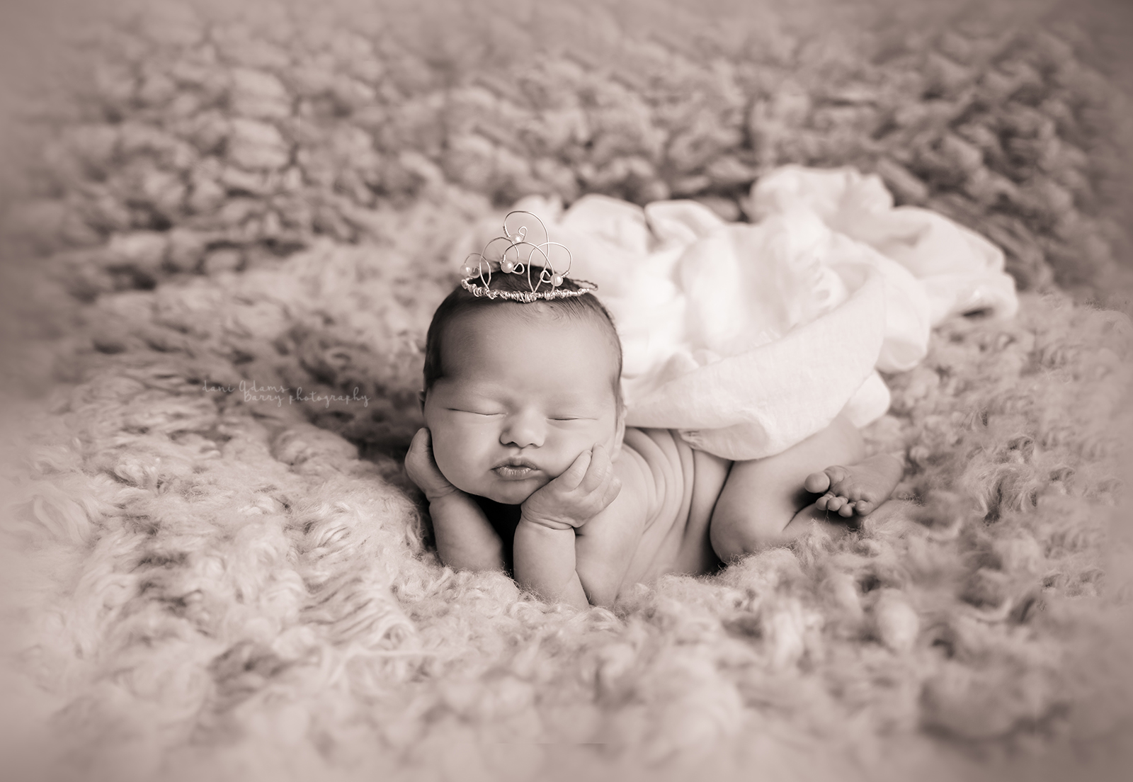 girl newborn photography dallas tx dani adams barry