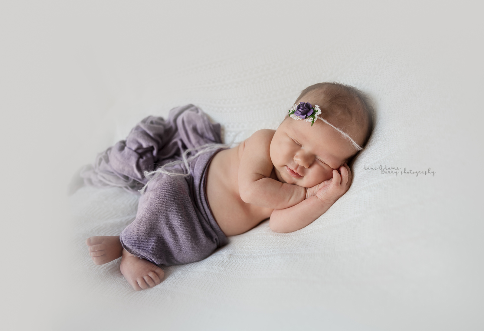 newborn baby girl pictures dallas tx dani adams barry