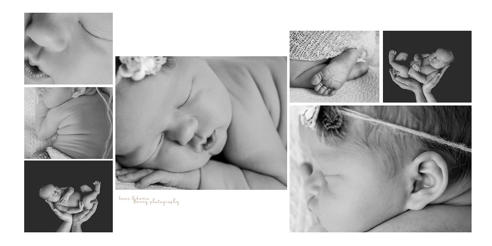 newborn girl photos dallas photography dani adams barry