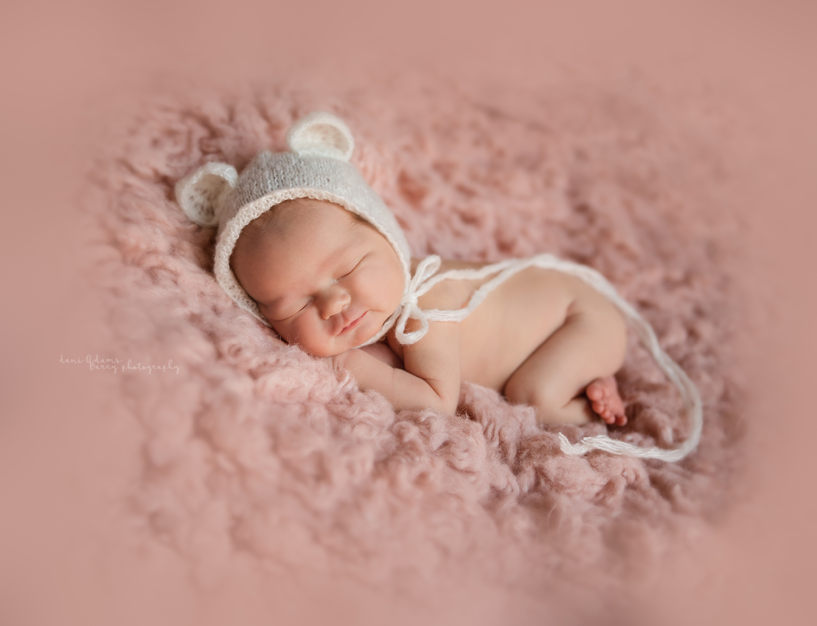 newborn photography dallas dani adams barry photography