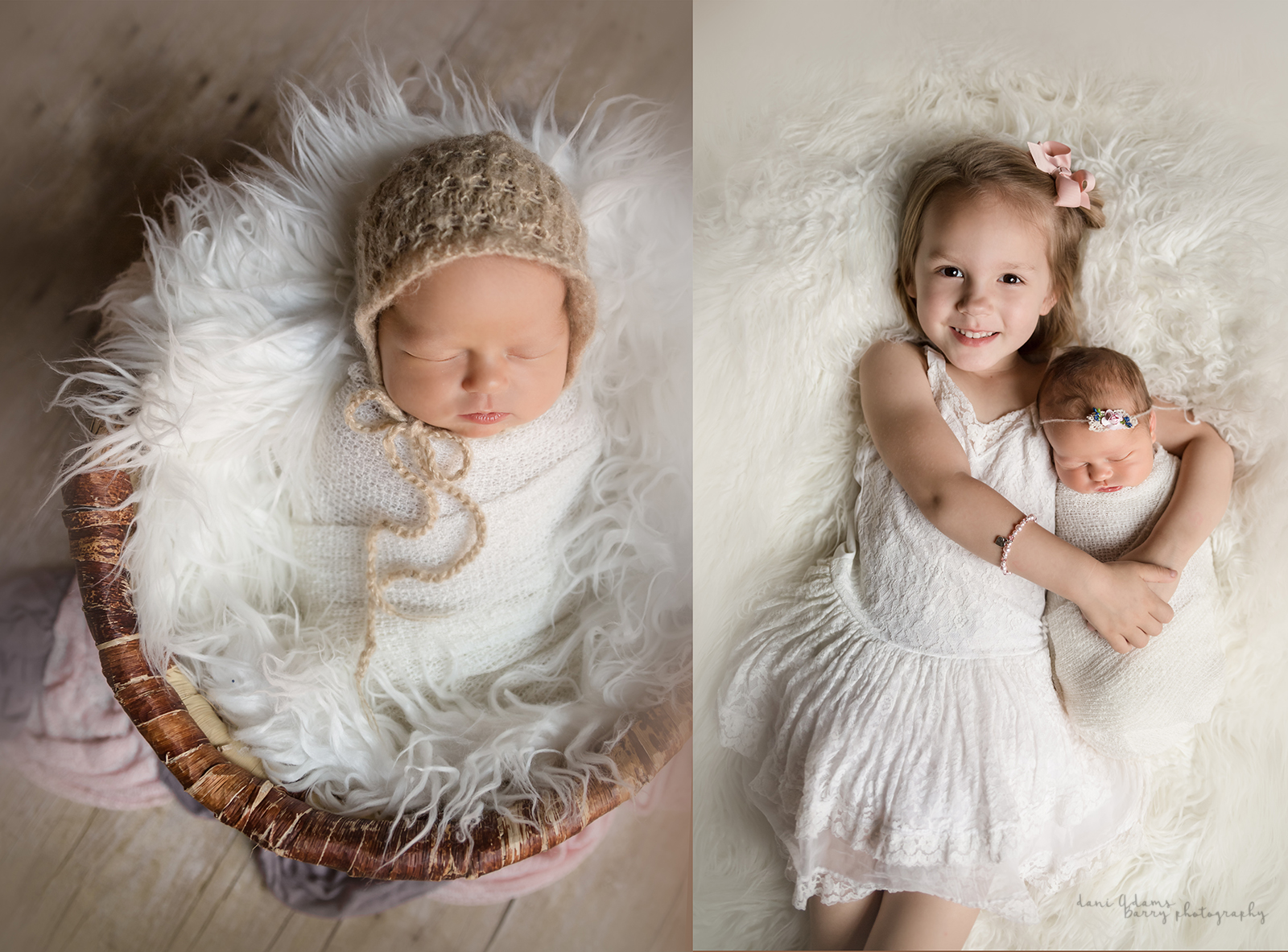 newborn photography dallas tx dani adams barry