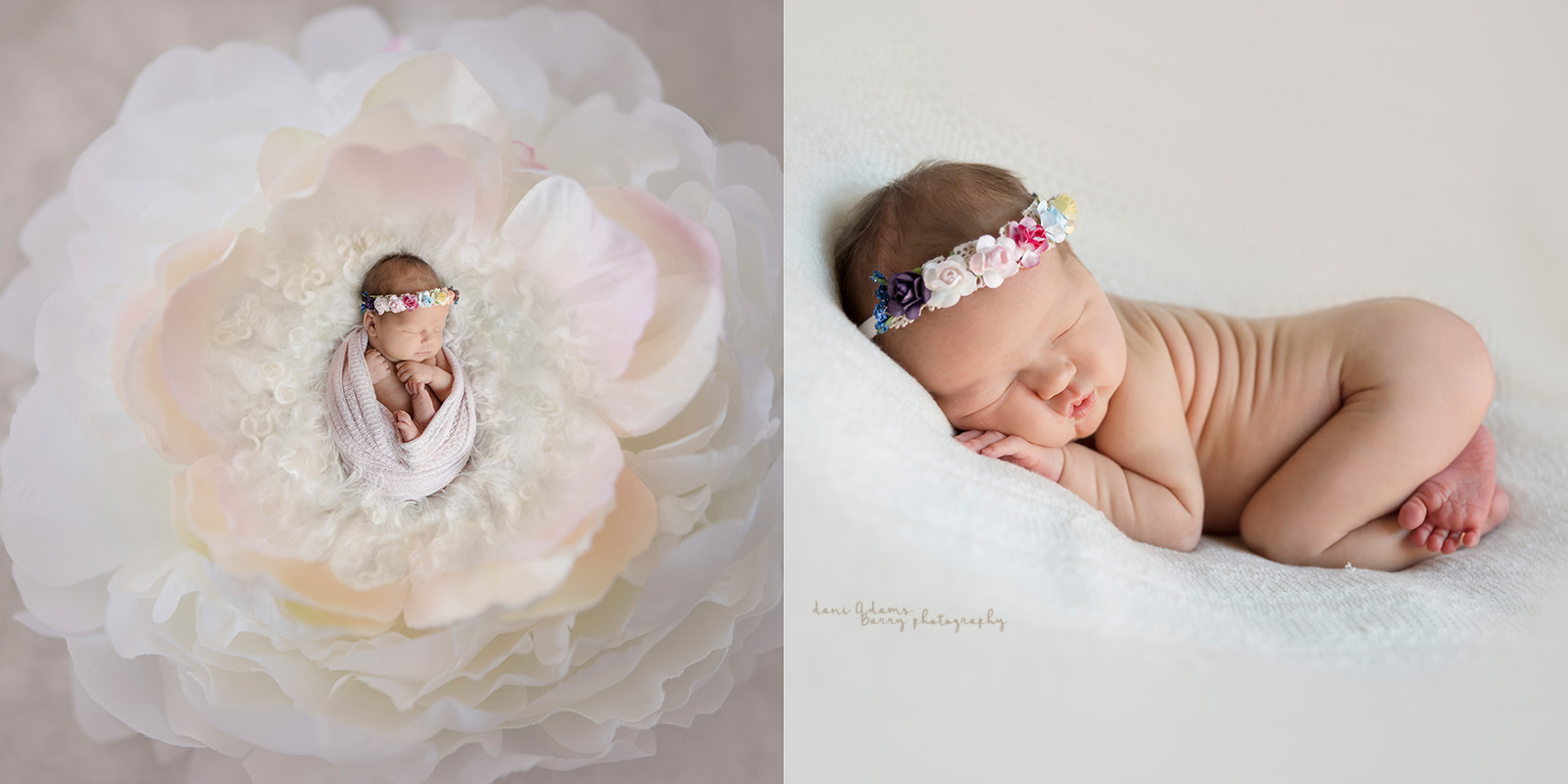 newborn photography dallas tx girl