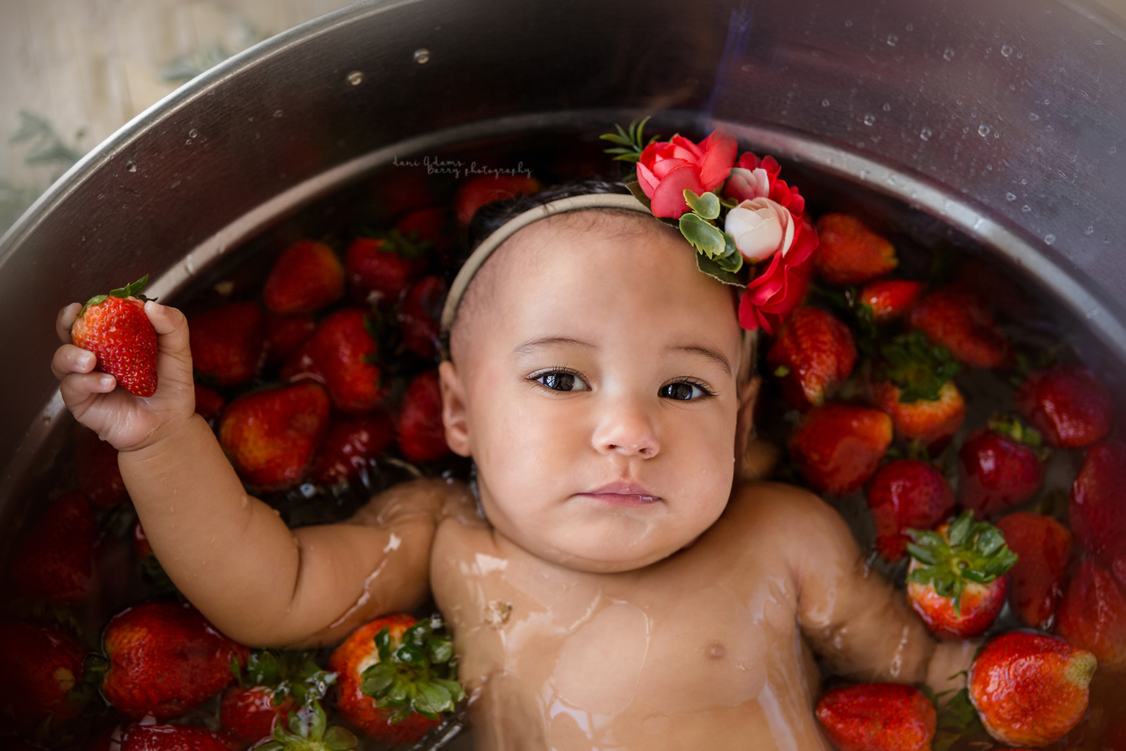 strawberry bath milestone photography dallas tx dani adams