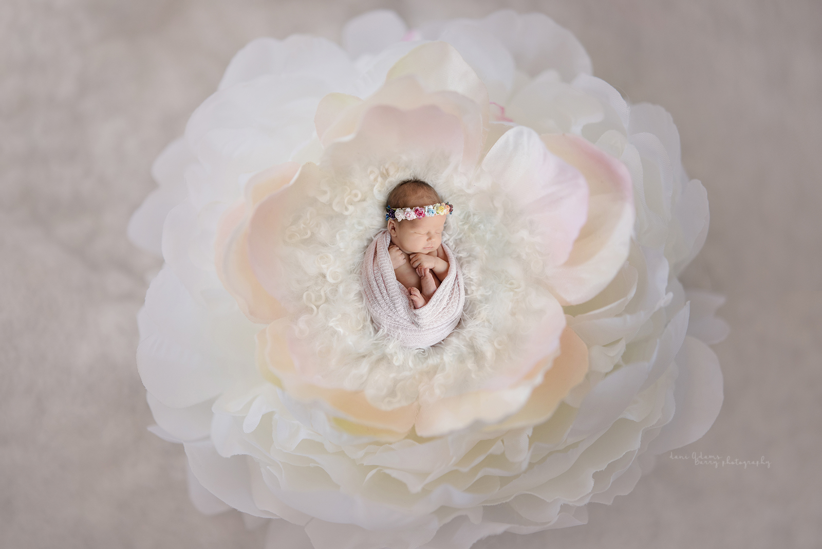 newborn photography ideas newborn girl photography dallas tx