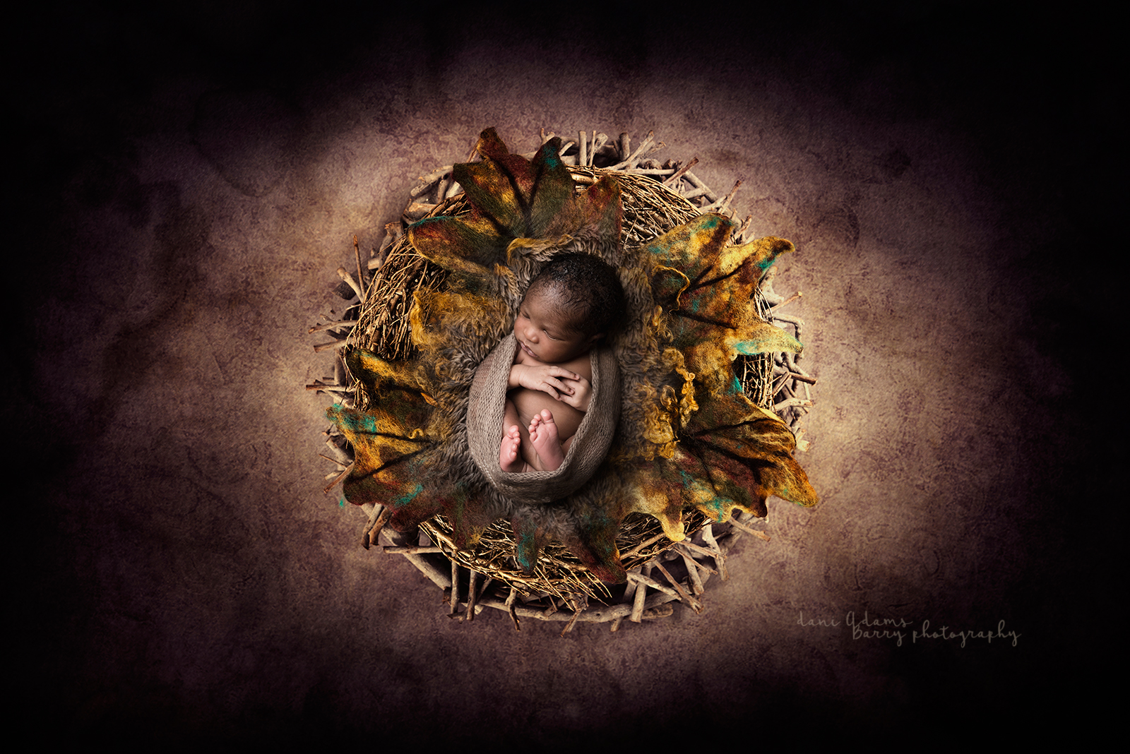 Newborn digital backdrop /background