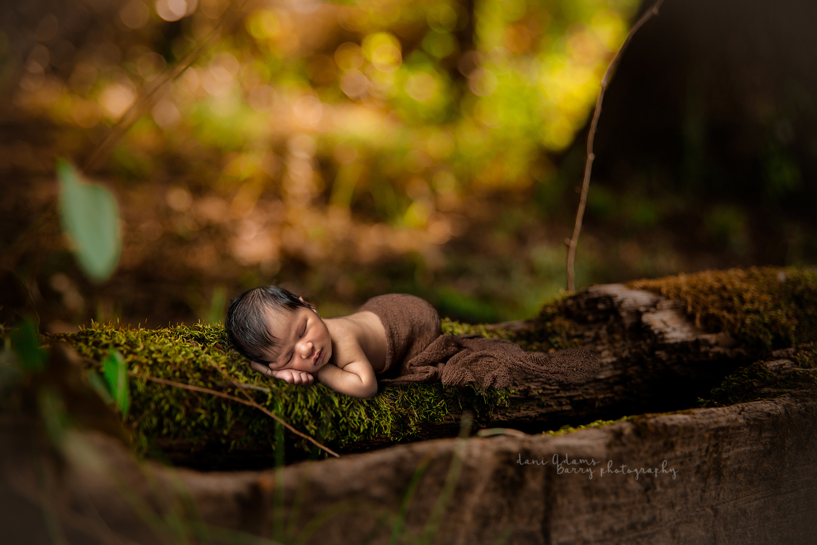 woodland newborn photography ideas boy