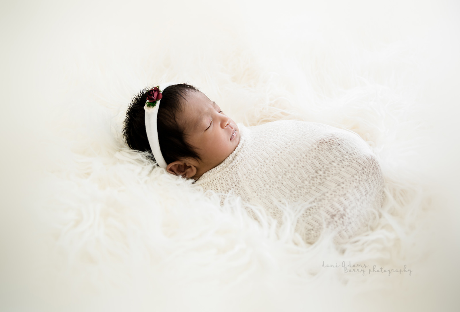 newborn baby girl photos dani adams barry