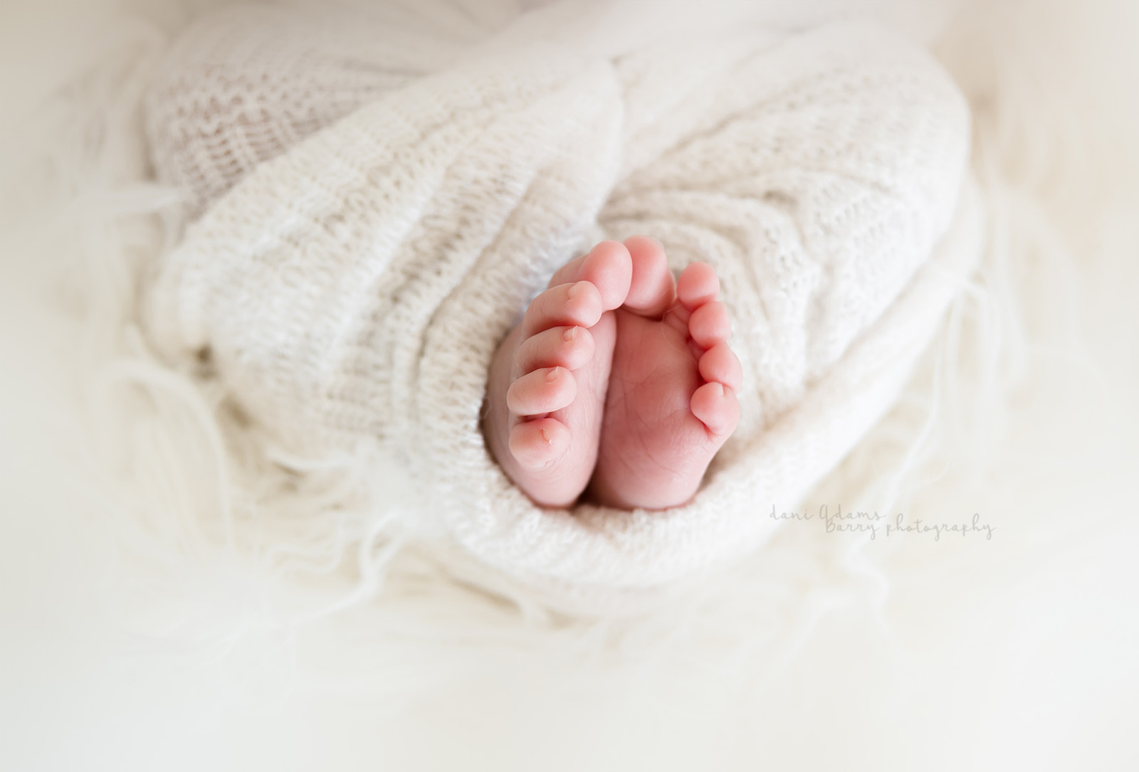 newborn baby girl picture ideas dallas
