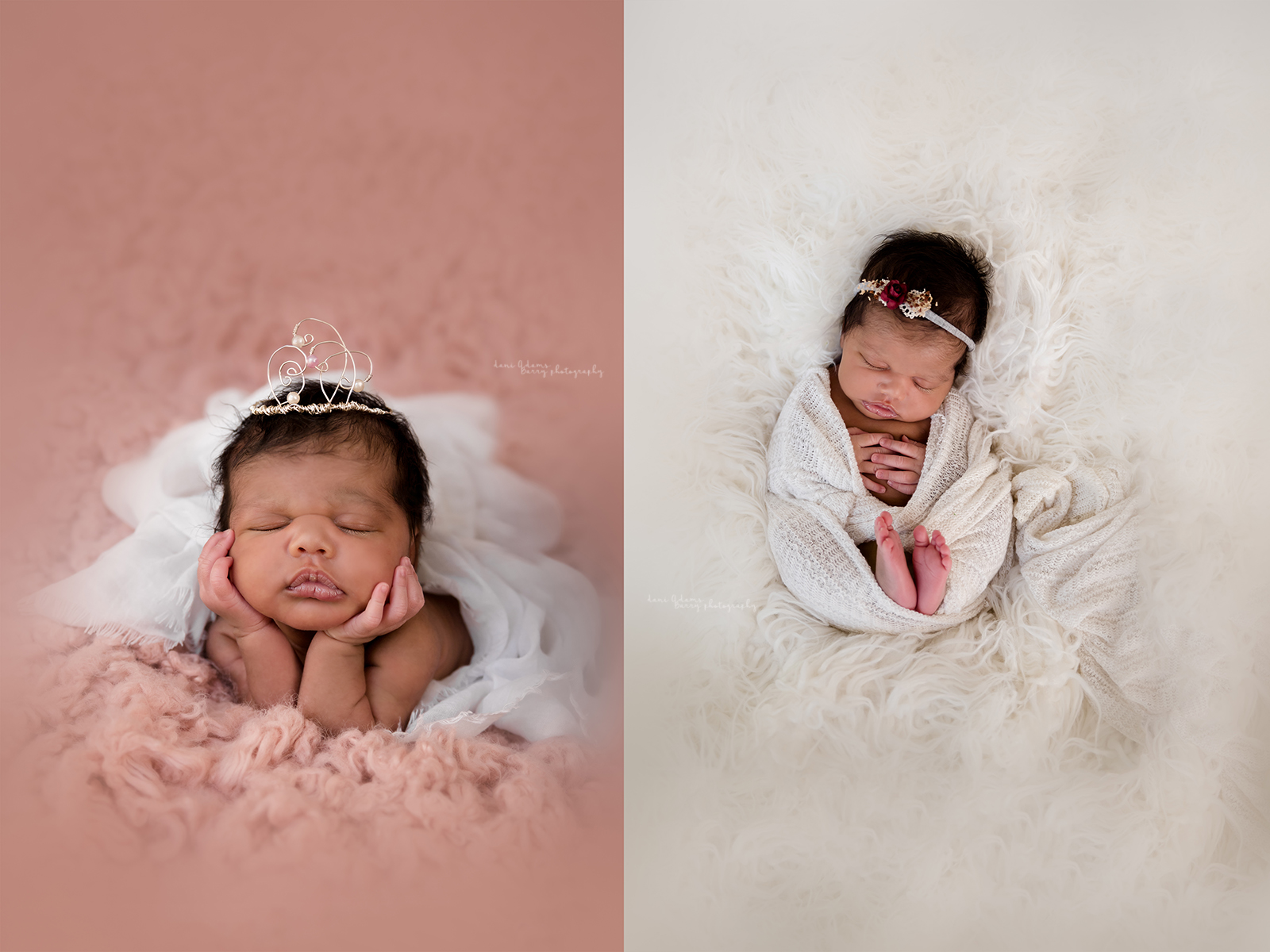 newborn baby girl photography dallas tx dani adams barry