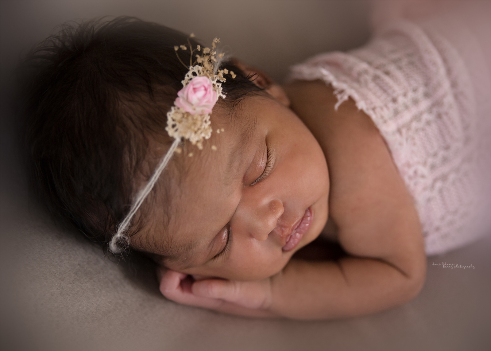 newborn girl photography dallas tx dani adams barry