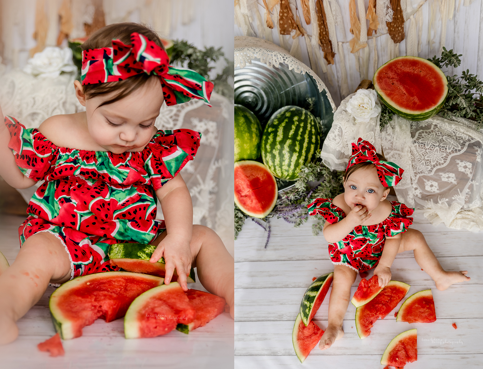 watermelon baby photos baby photography dallas tx dani adams barry photography