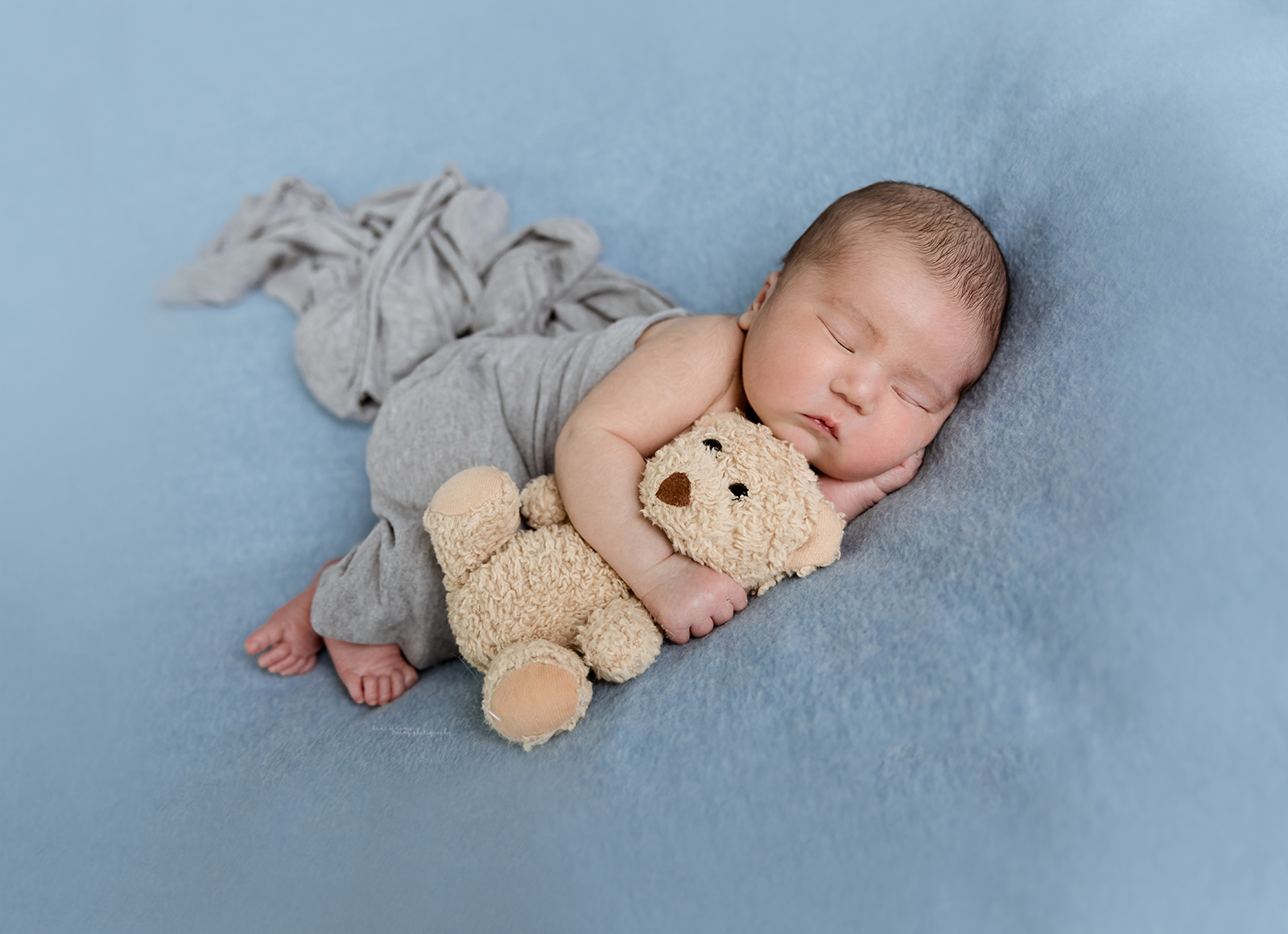 dani adams barry photography dallas tx newborn photography dallas tx