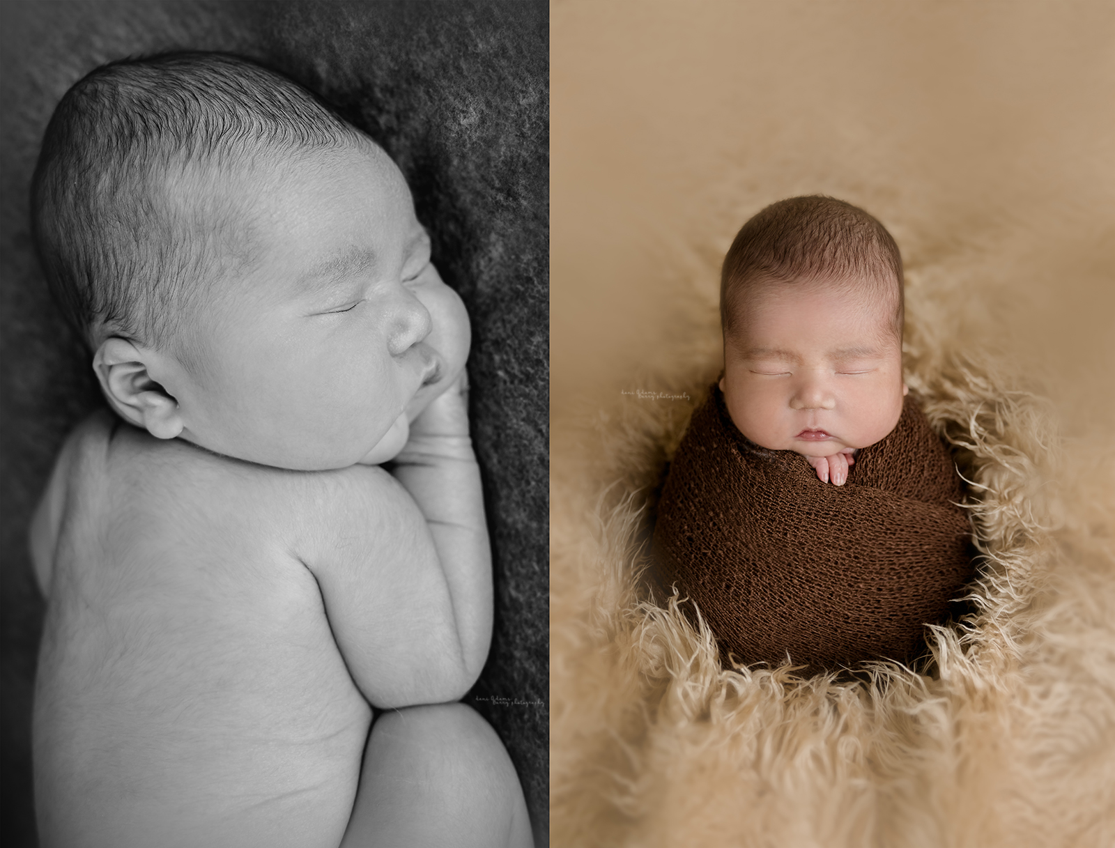 newborn photography dallas tx dani adams barry