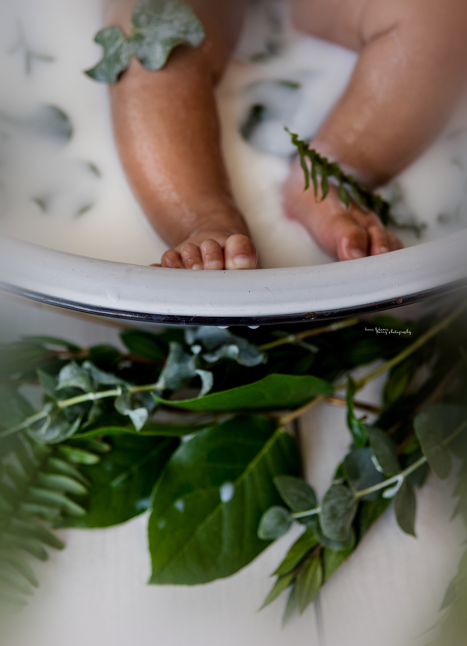 woodland baby milk bath photography dallas tx dani adams barry