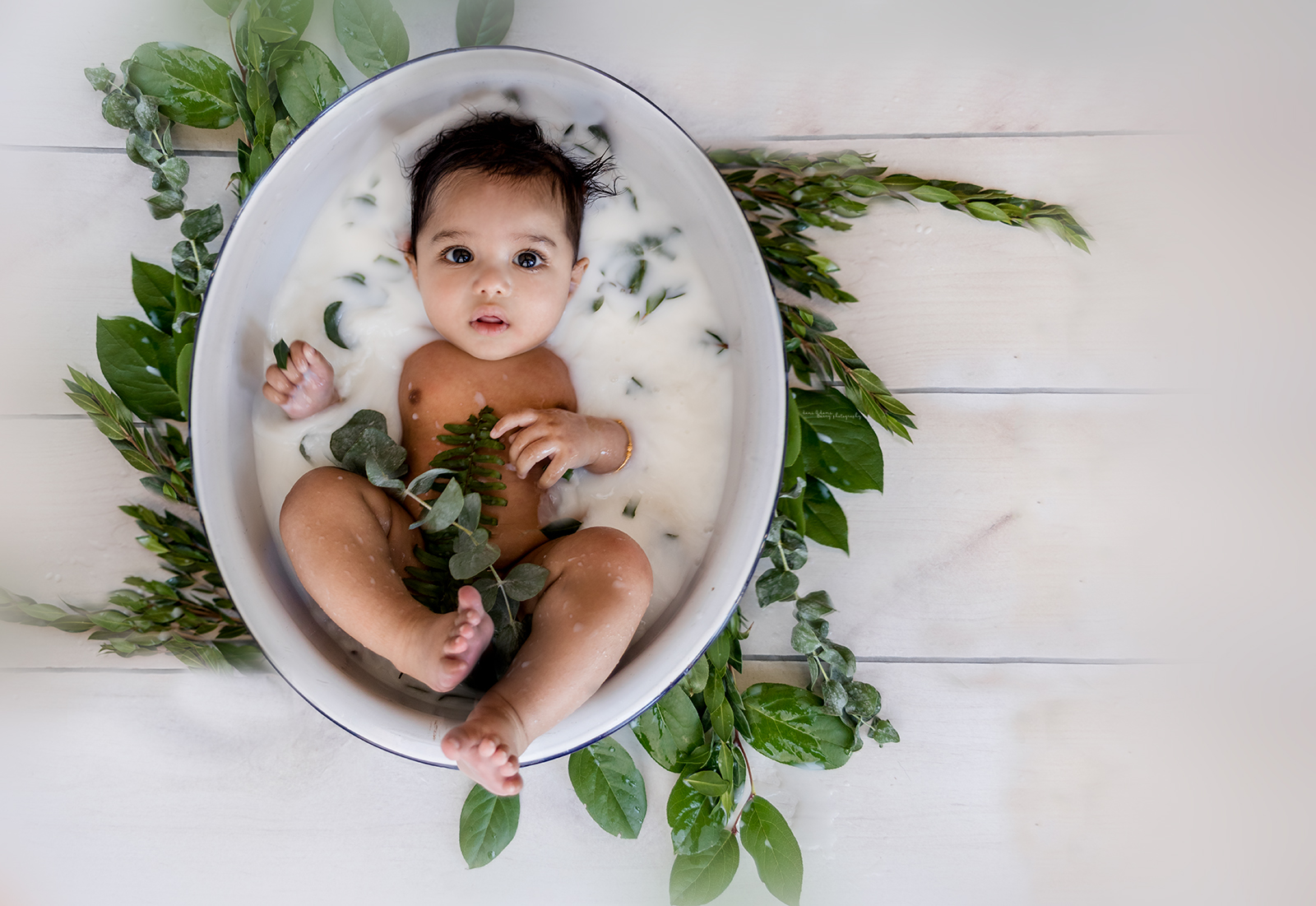 woodland milk bath photography dallas tx