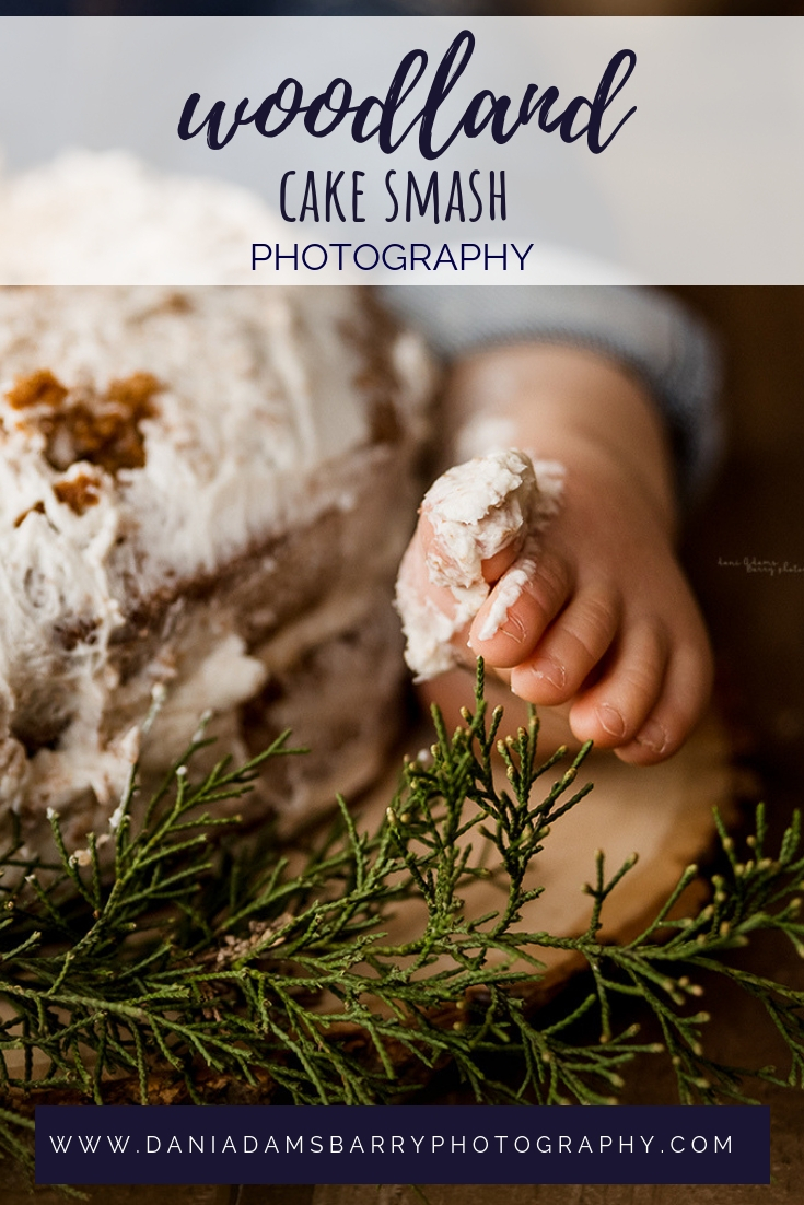 Woodland Lumberjack Cake Smash Photography theme - Dallas TX - Dani Adams Barry Photography