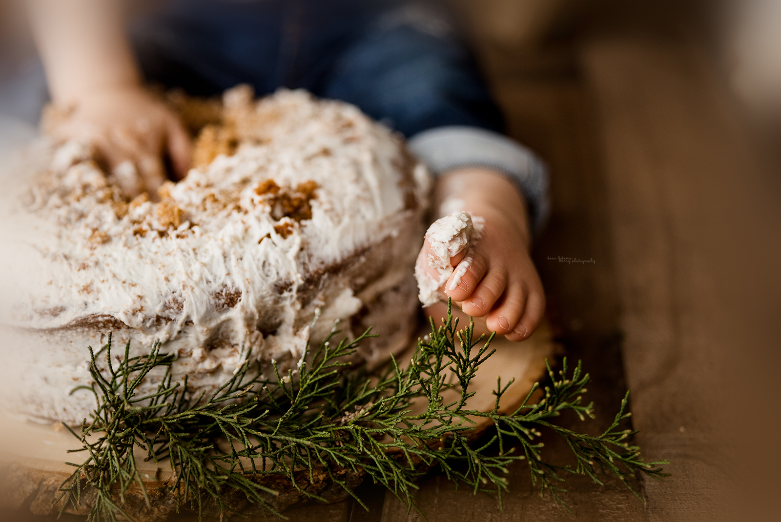 baby milestone woodland cake smash photography woodland lumberjack theme