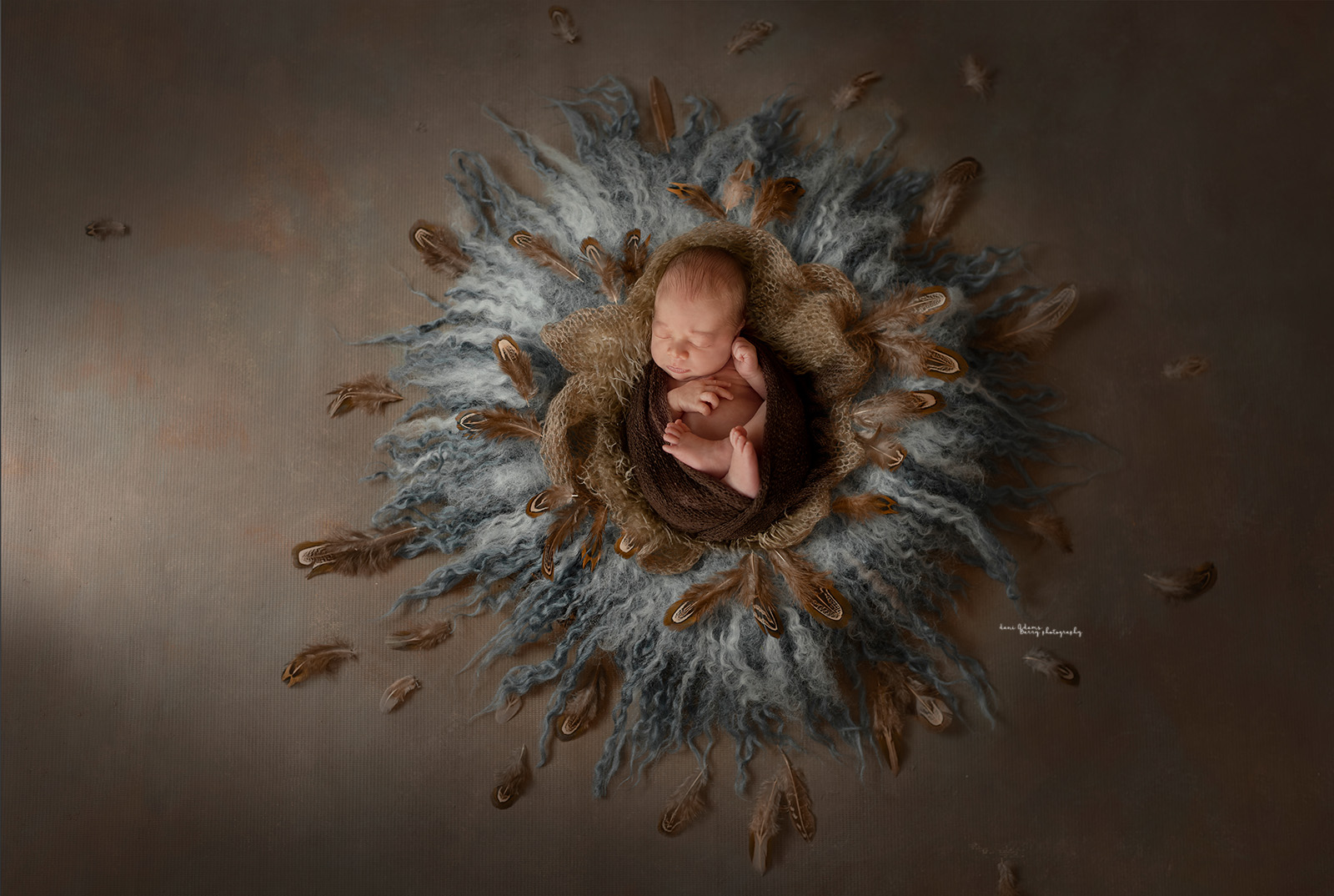 dani adams barry newborn photography