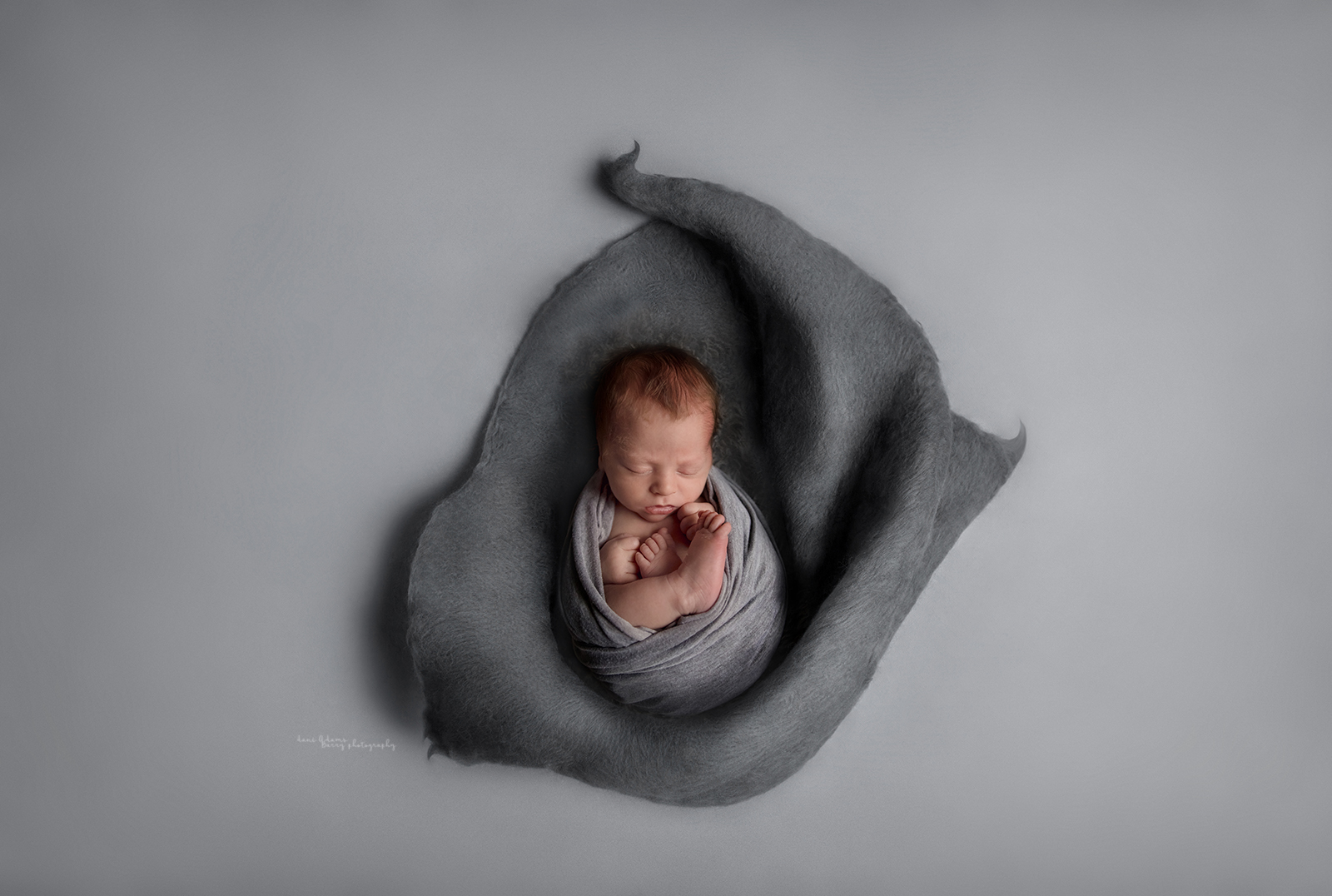 newborn art photography dallas tx