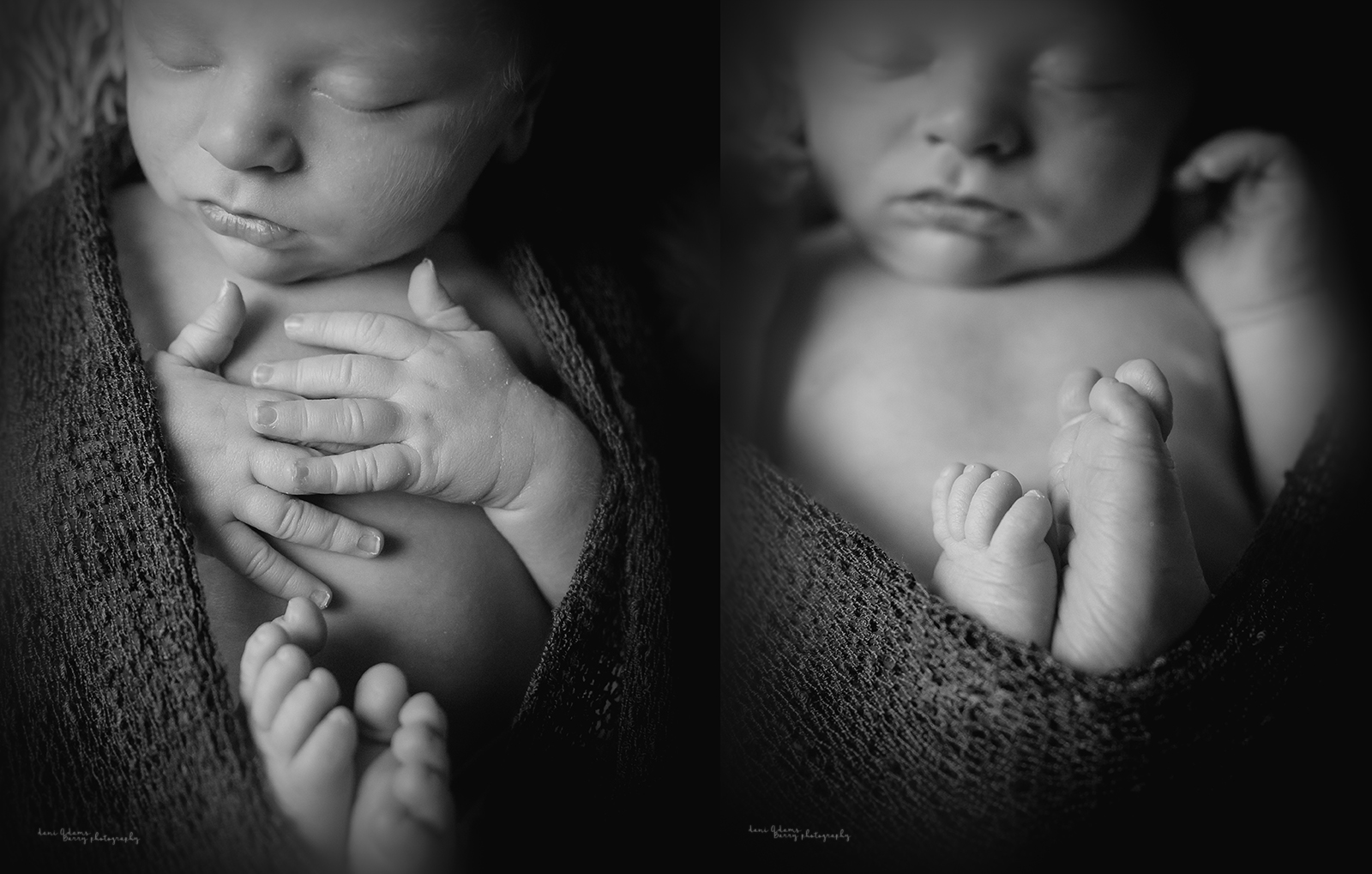newborn boy photography dallas tx dani adams barry