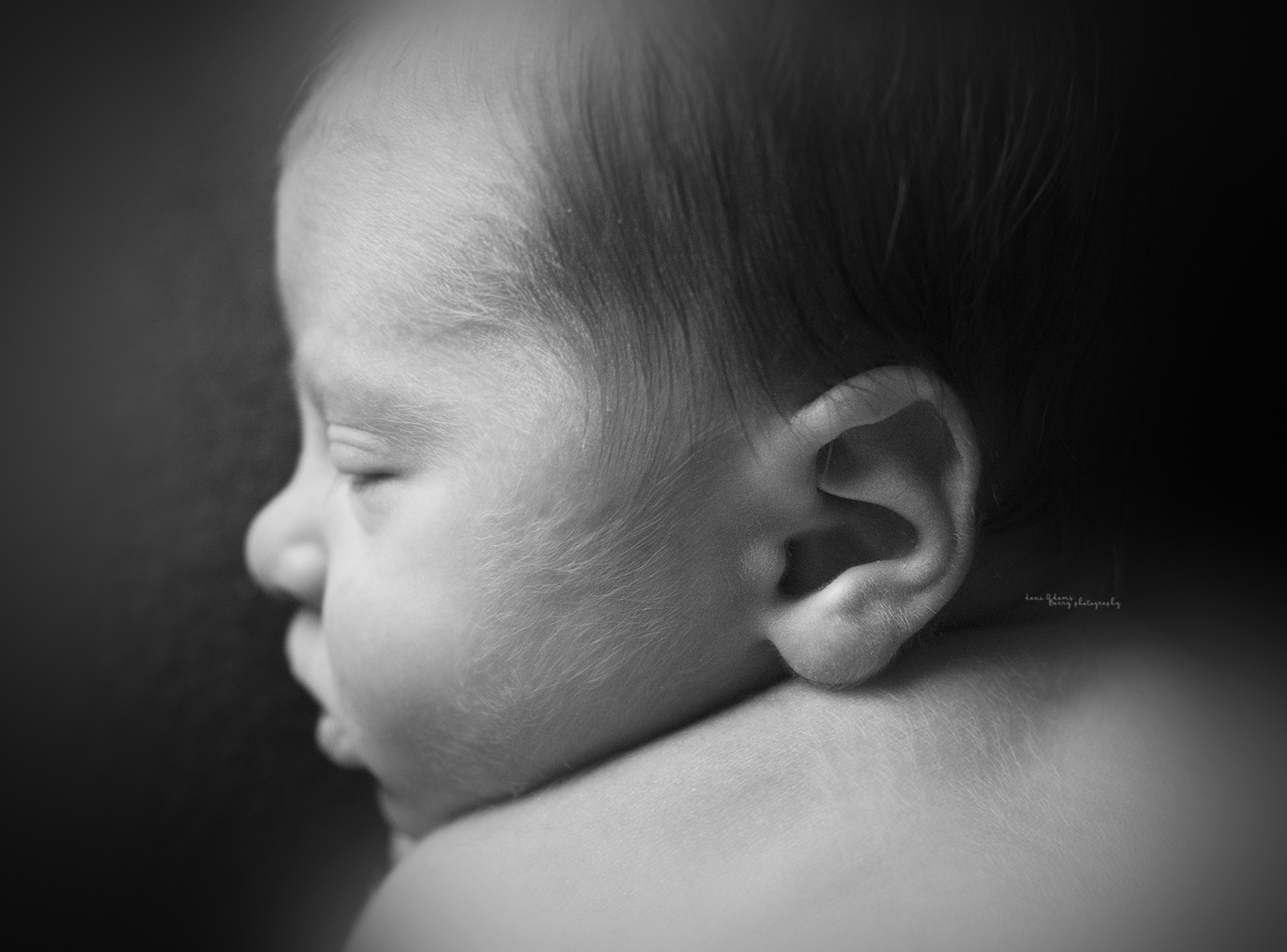 newborn boy photos dallas tx photography