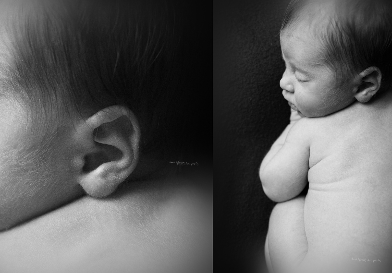 newborn photography dallas tx baby boy