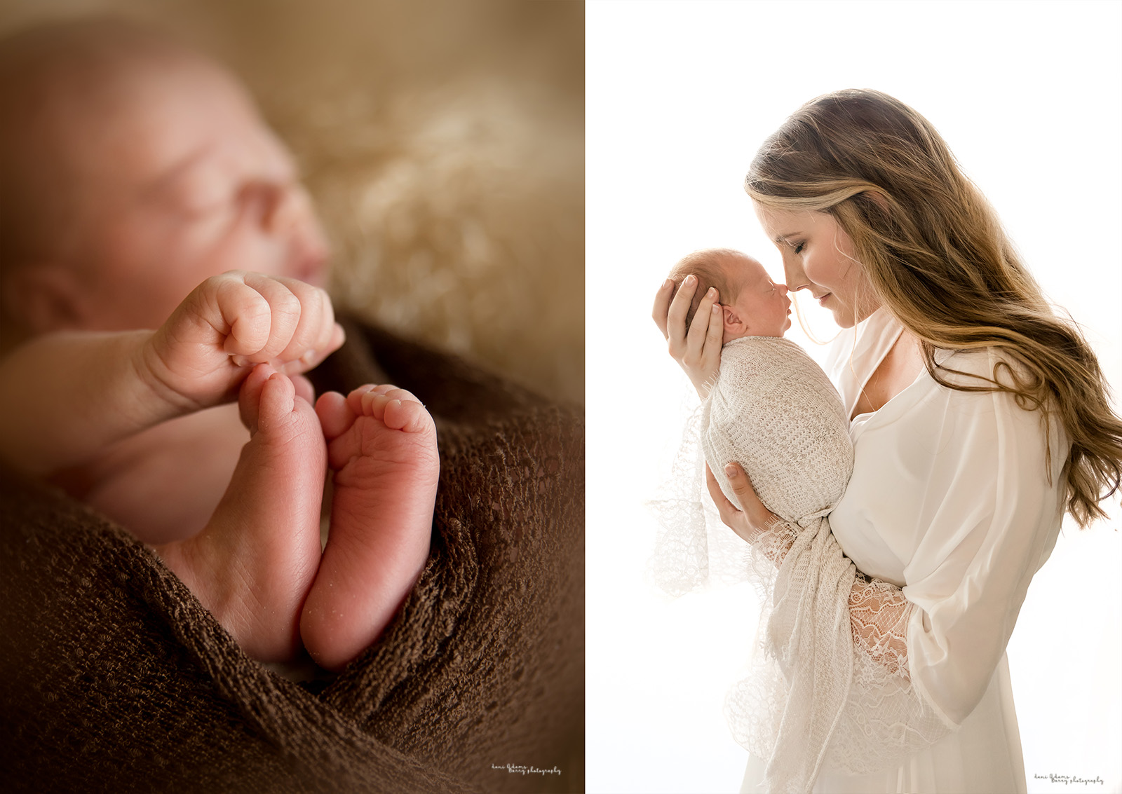 newborn photography dallas tx woodland theme