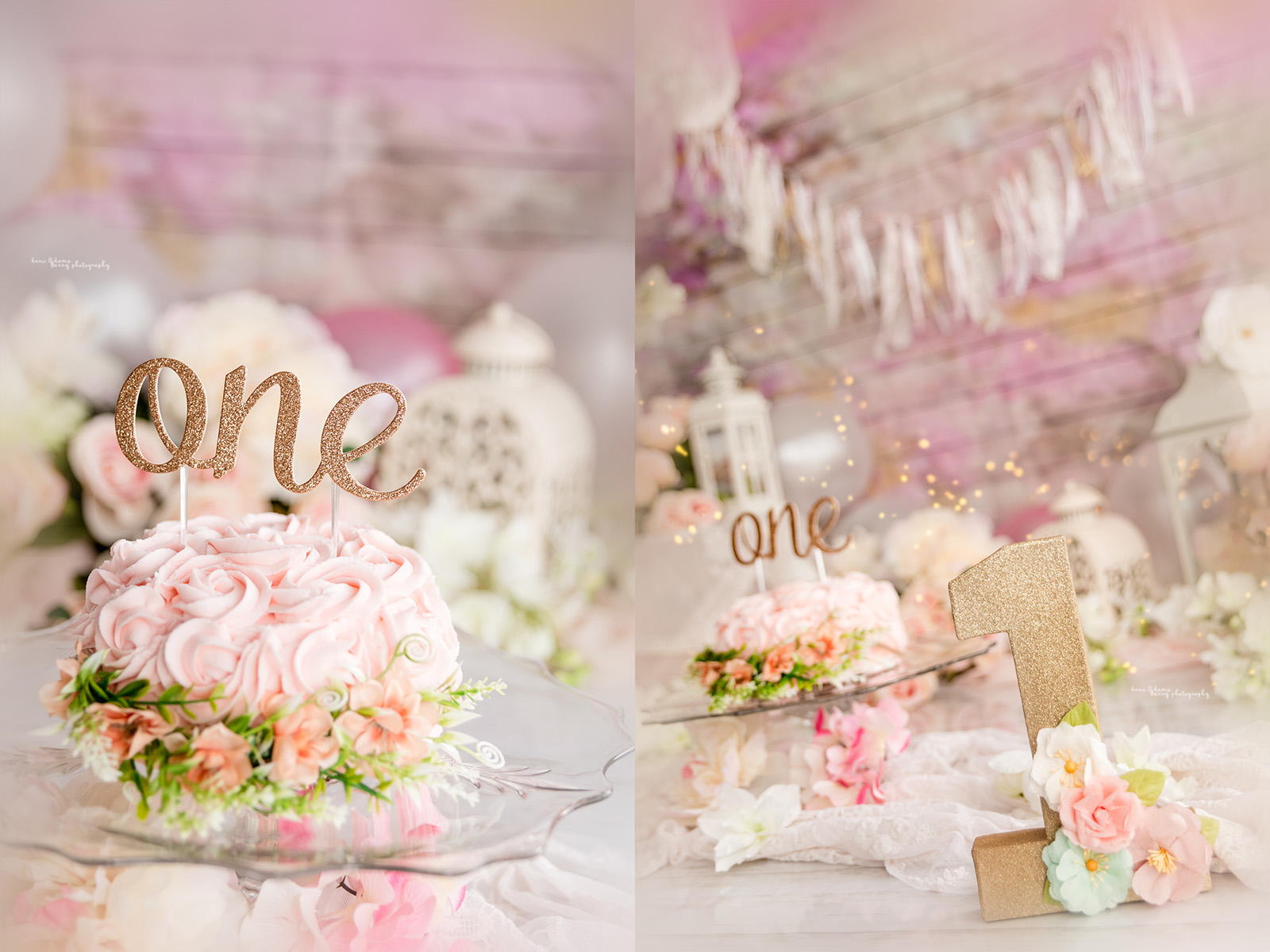 one year baby cake smash photography dallas tx