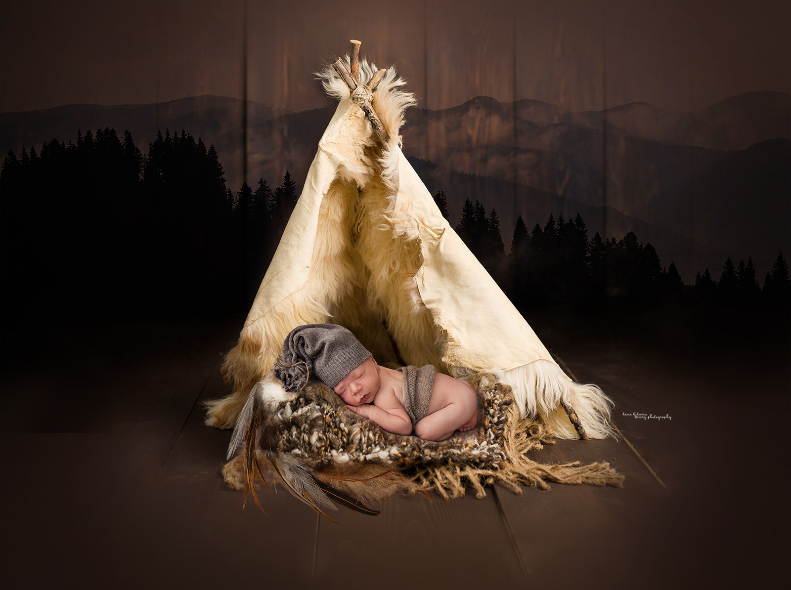 woodland mountains newborn photography dallas tx