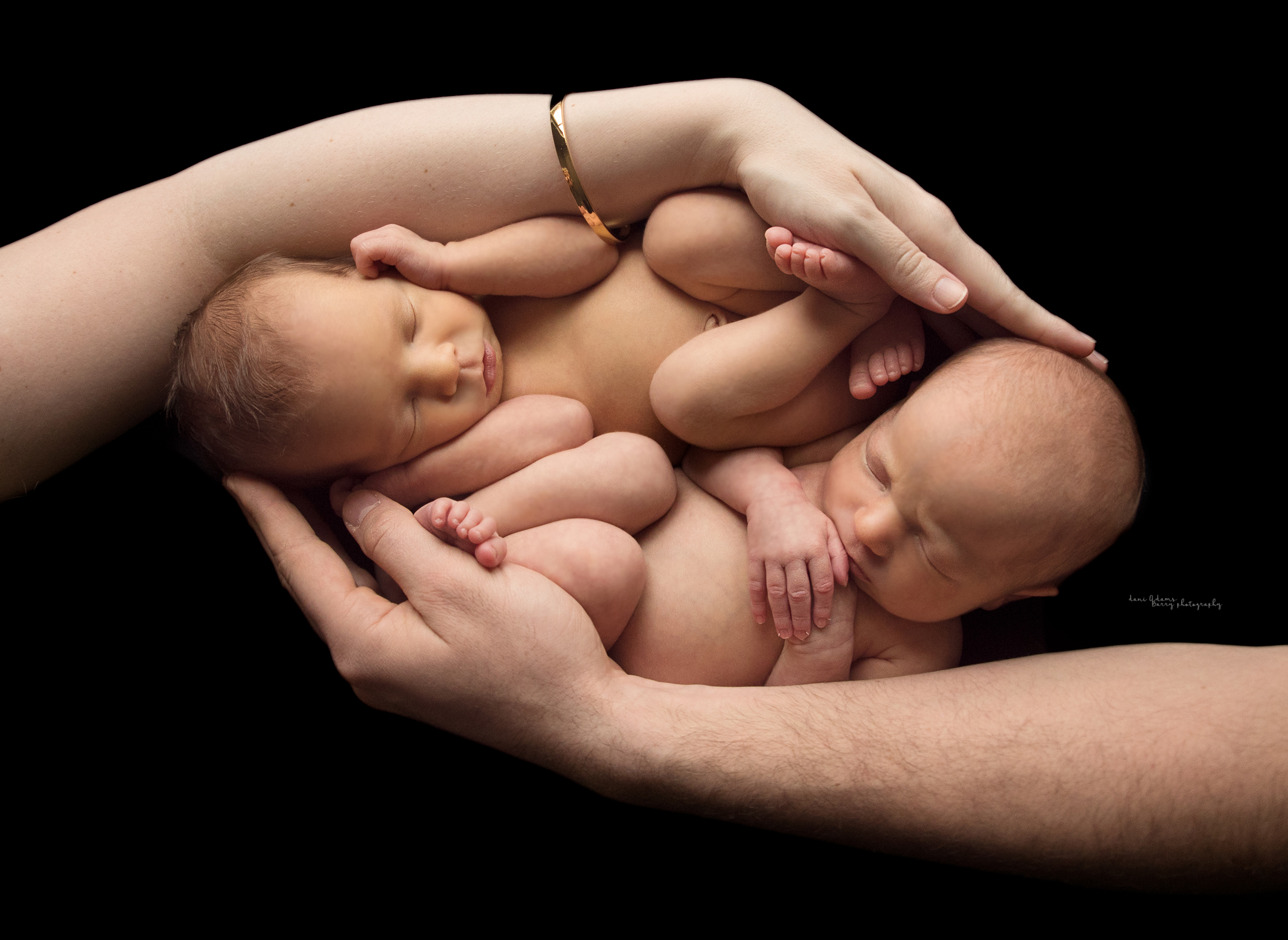 dani adams barryphotography newborn twins photos