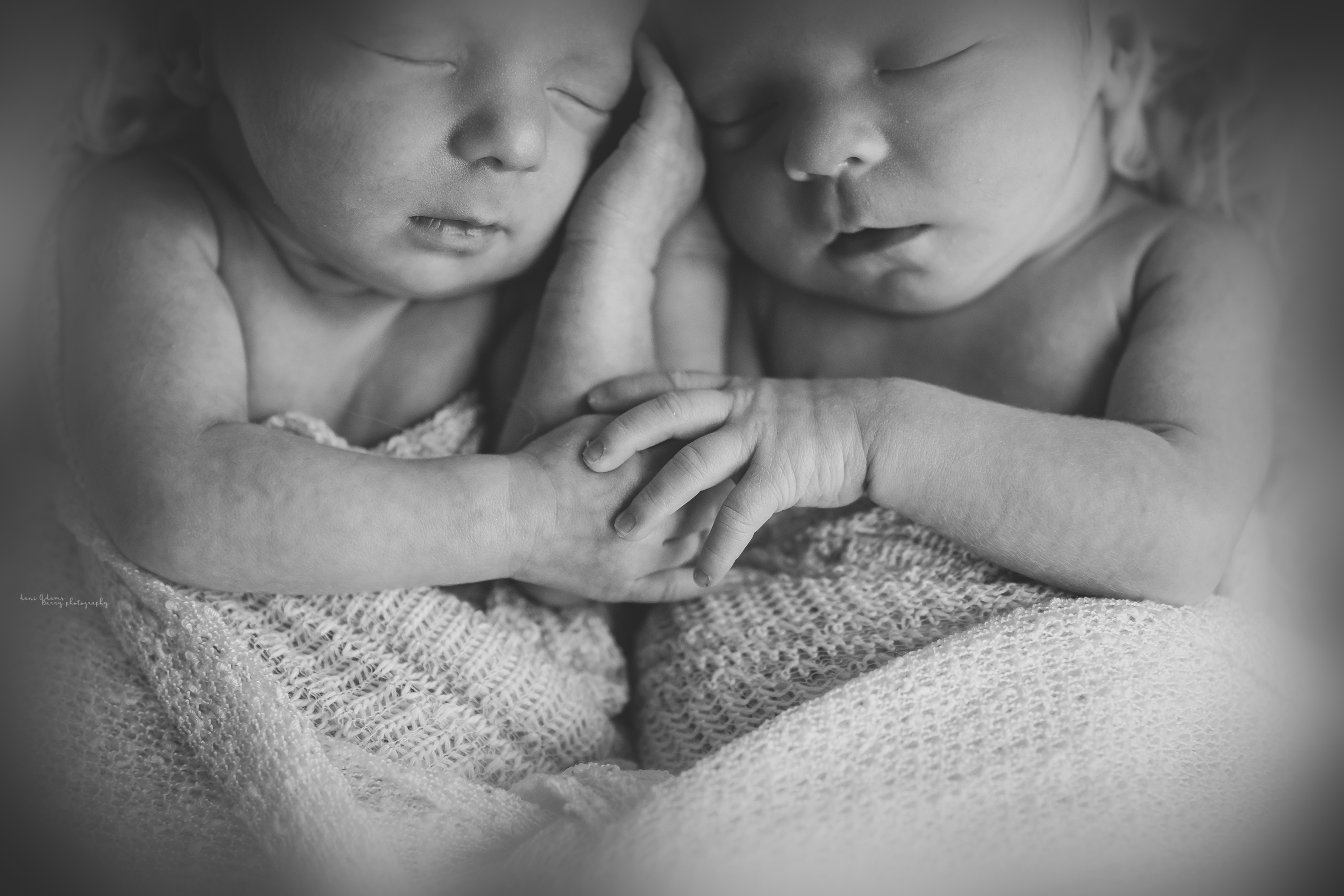 newborn twin baby photography dallas tx