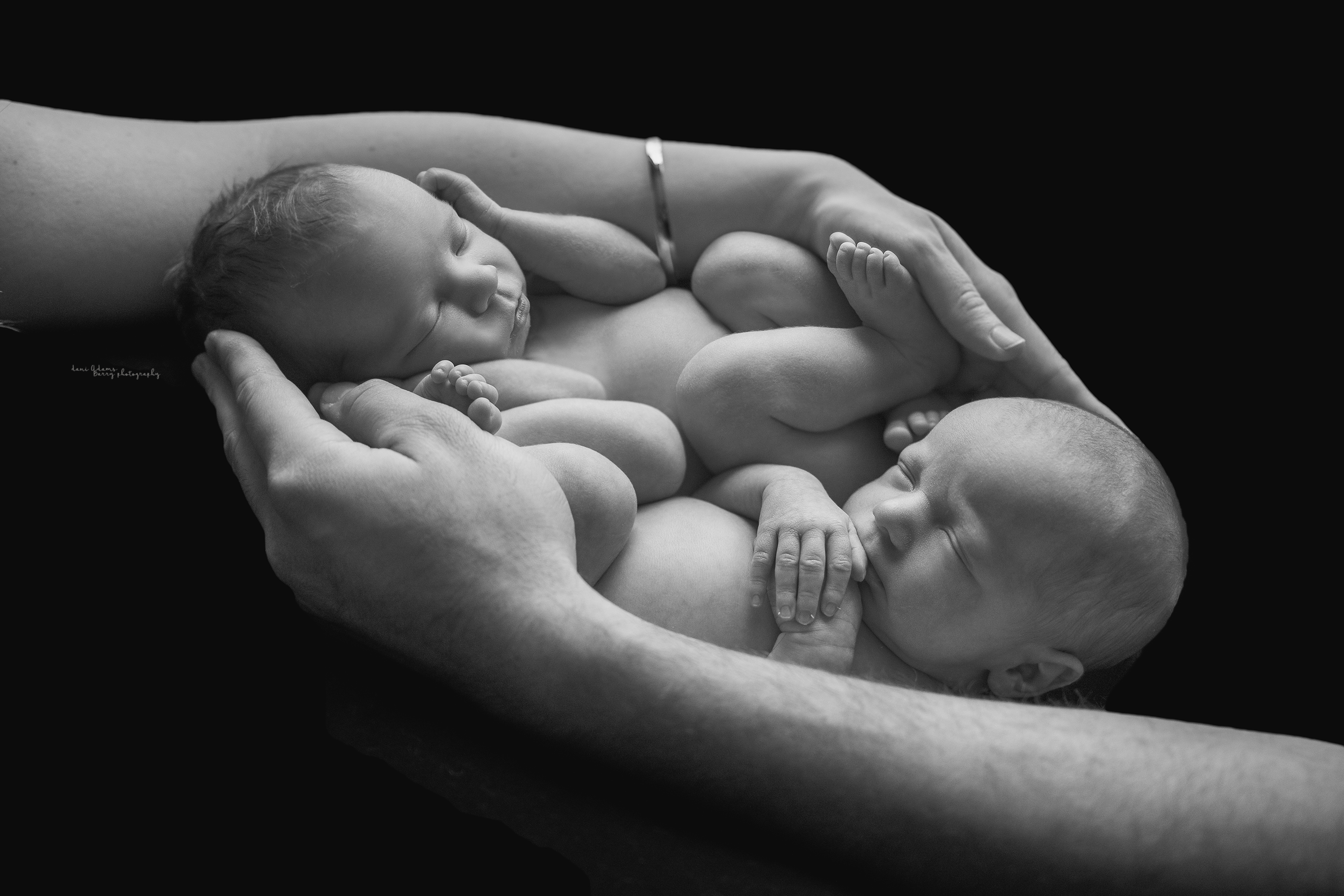 newborn twins photography dallas tx dani adams barry photography