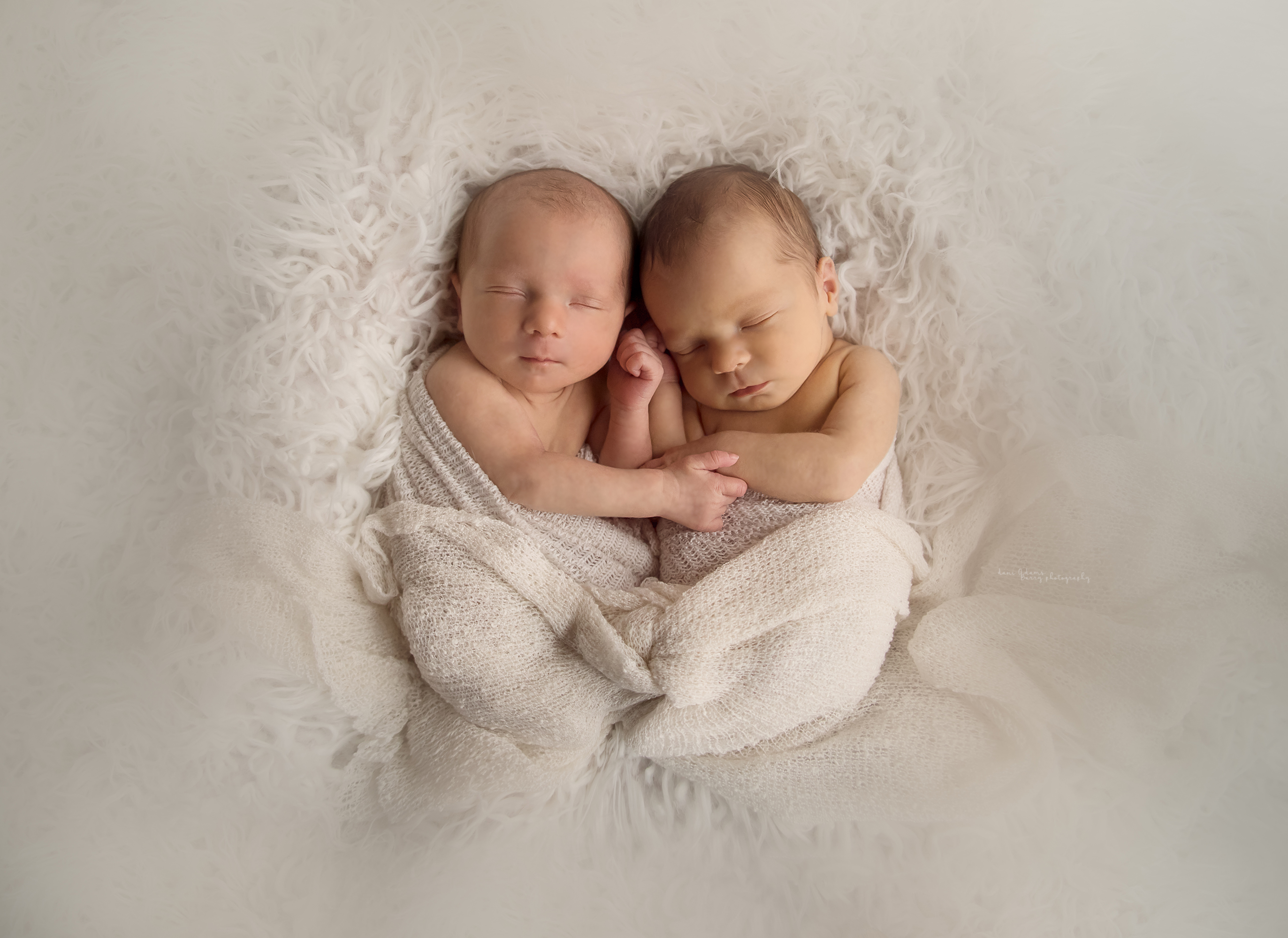 newborn twins photos baby photos dallas tx
