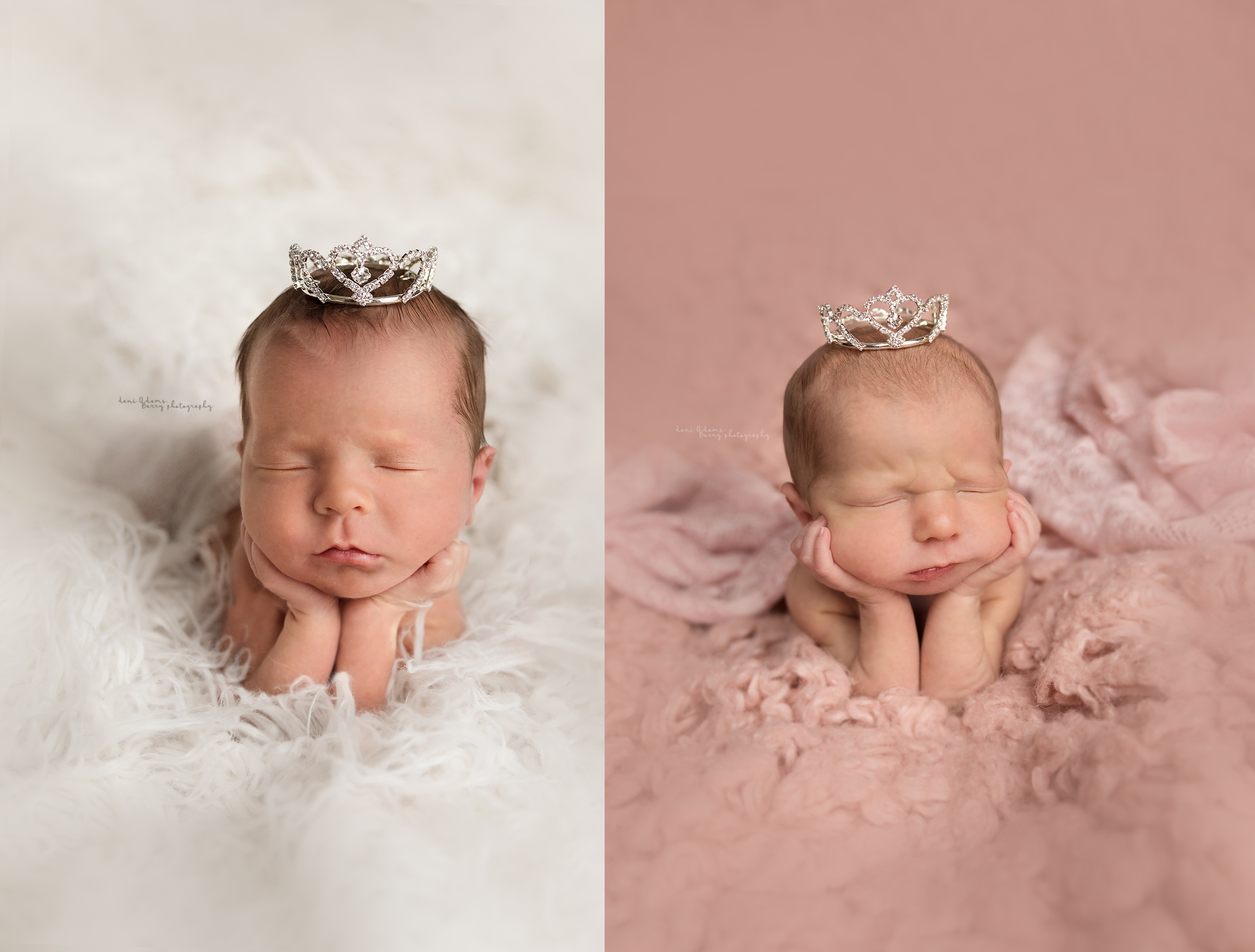 twins baby photos dallas tx