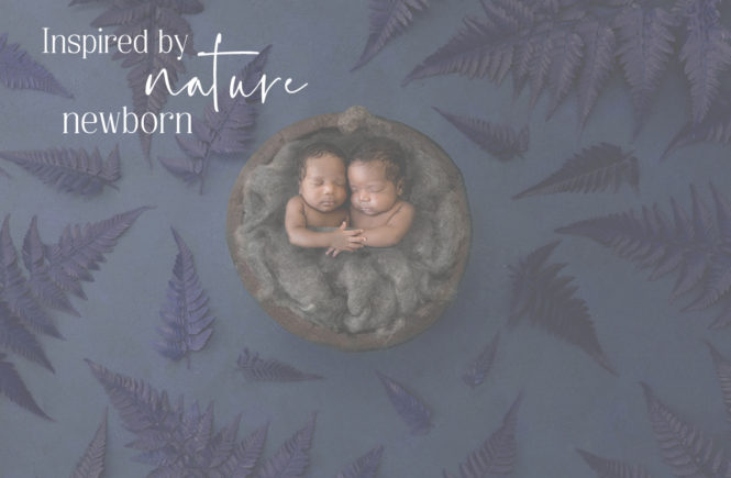 newborn twin photography woodland theme baby photos